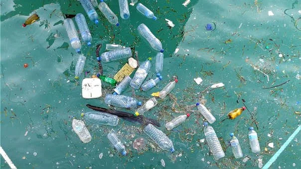 Según informe, el plástico se infiltró en la totalidad del océano