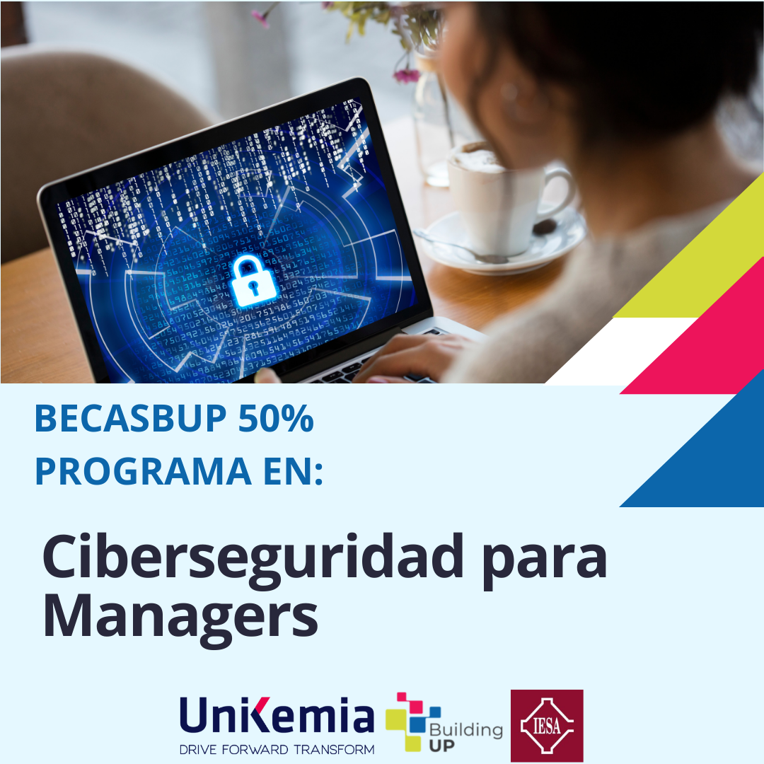 Programa de Ciberseguridad para Managers