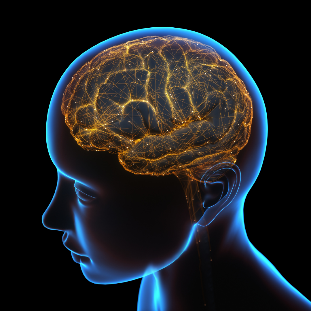 Estimulación cerebral para combatir la pérdida de memoria en la vejez