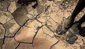 Las claves del histórico acuerdo para mitigar los efectos del cambio climático en los países más pobres