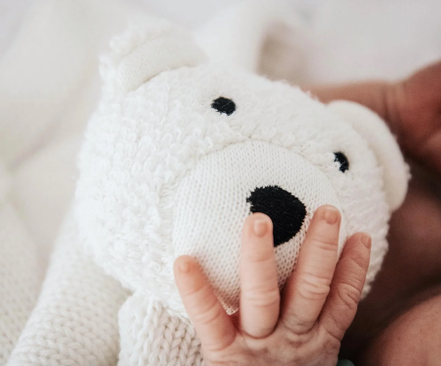 SO LITTLE &amp; SO CUTE✨

#mainenewbornphotographer #mainephotographer