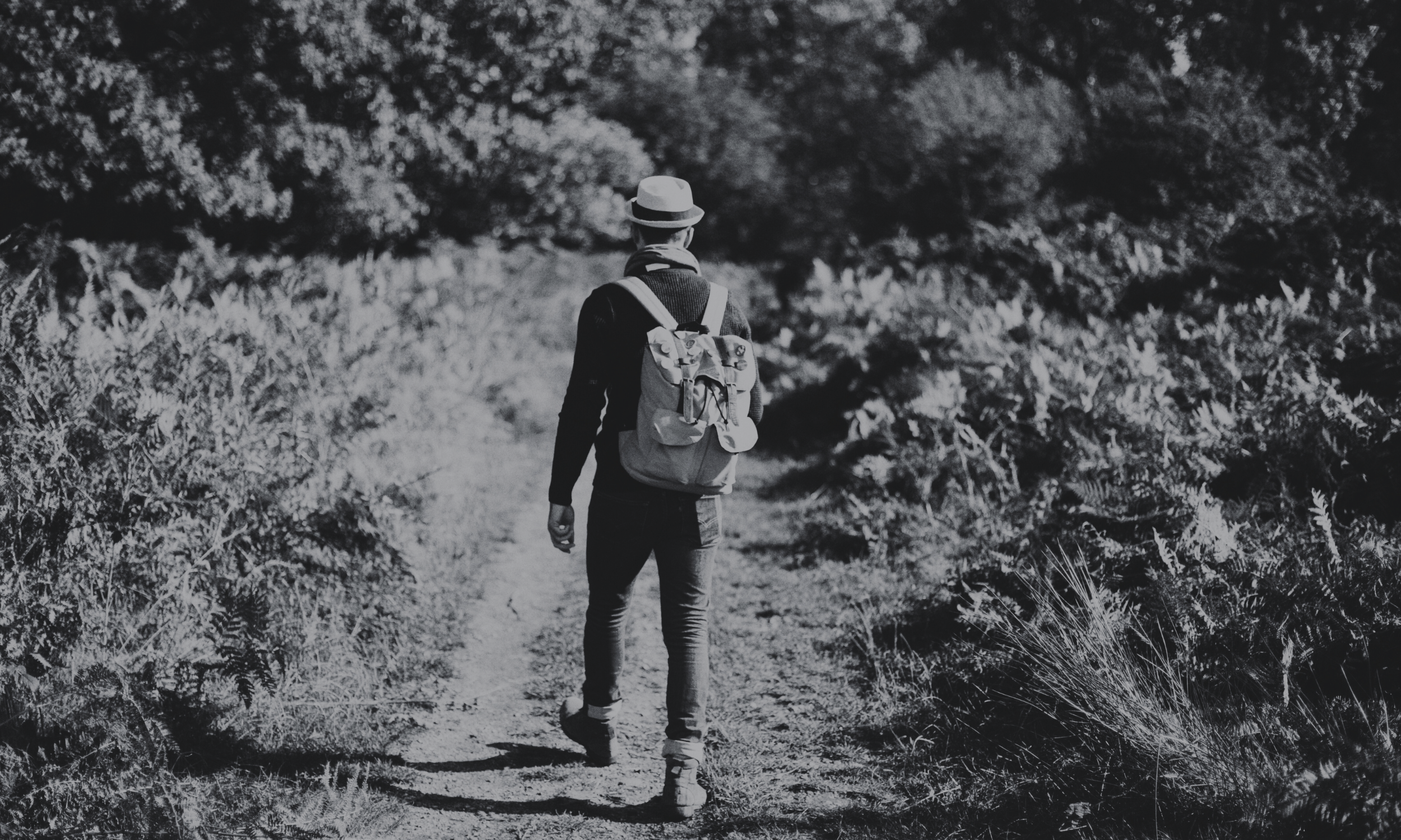 Day Two: Active Rest