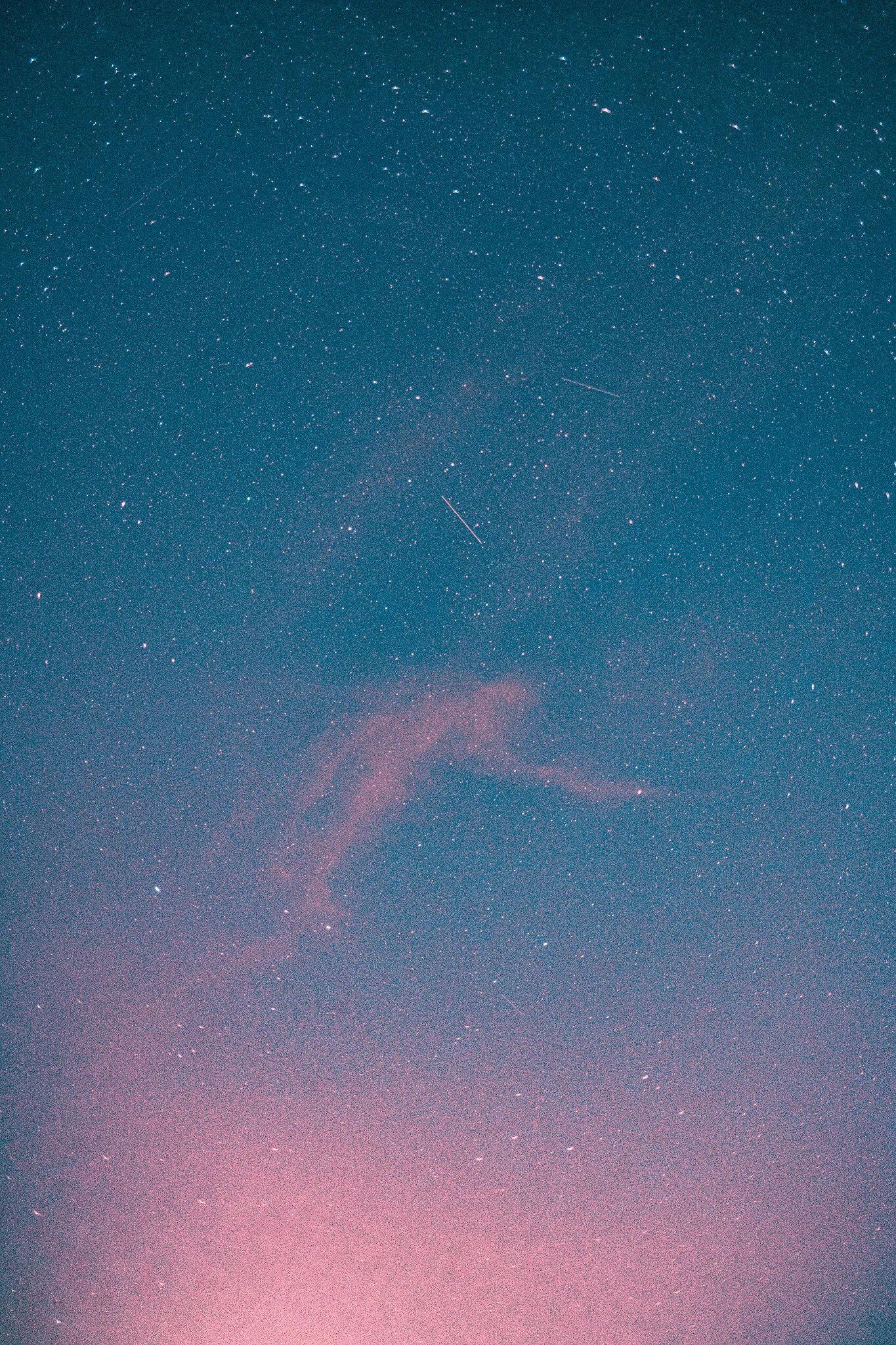 DSCF5890.jpg