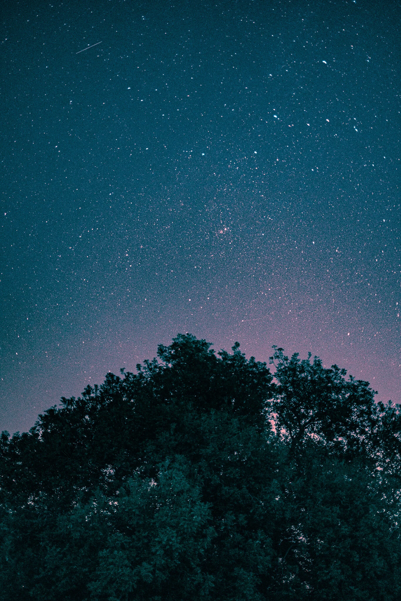 DSCF5892.jpg