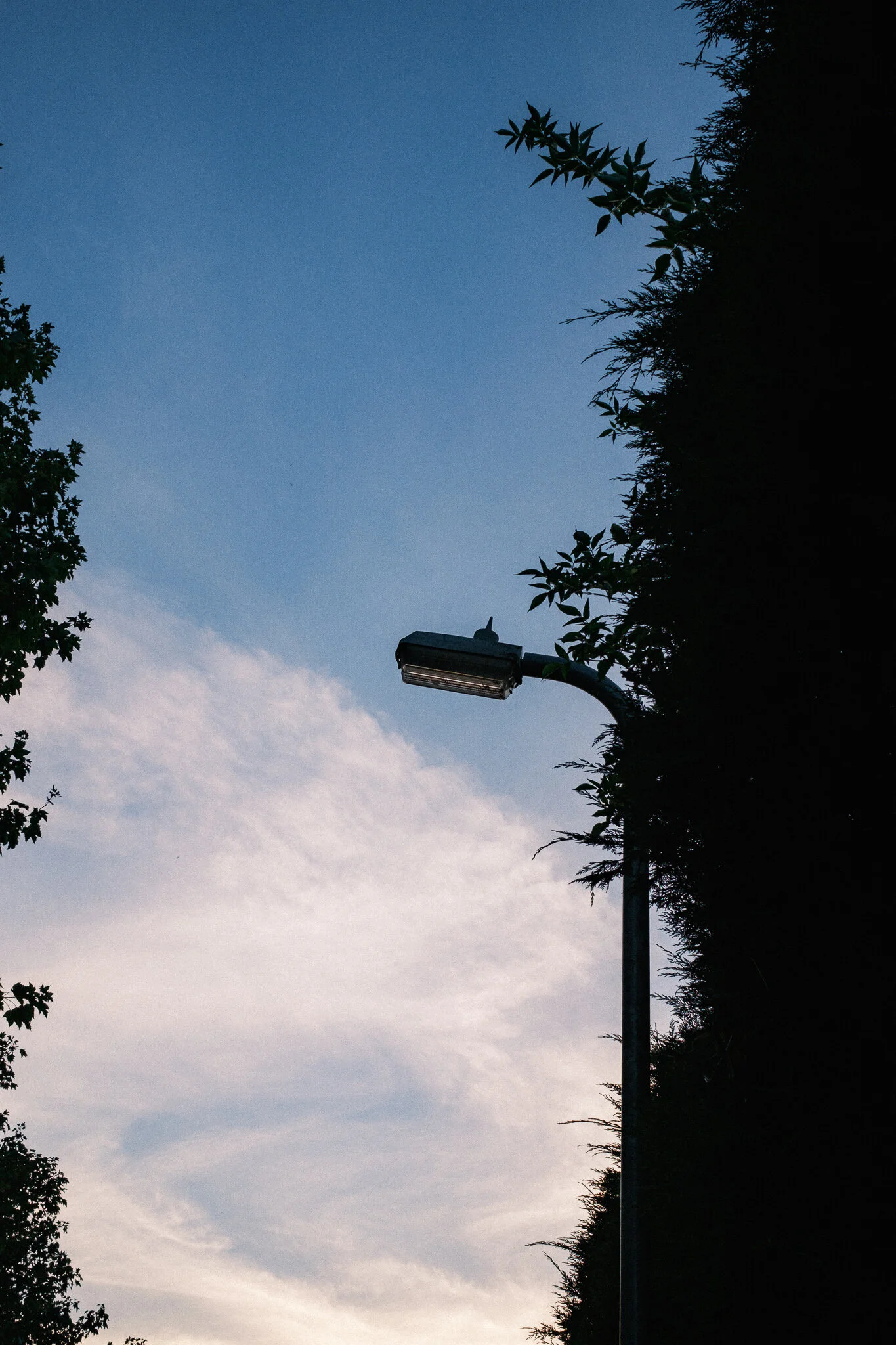 DSCF6920.jpg