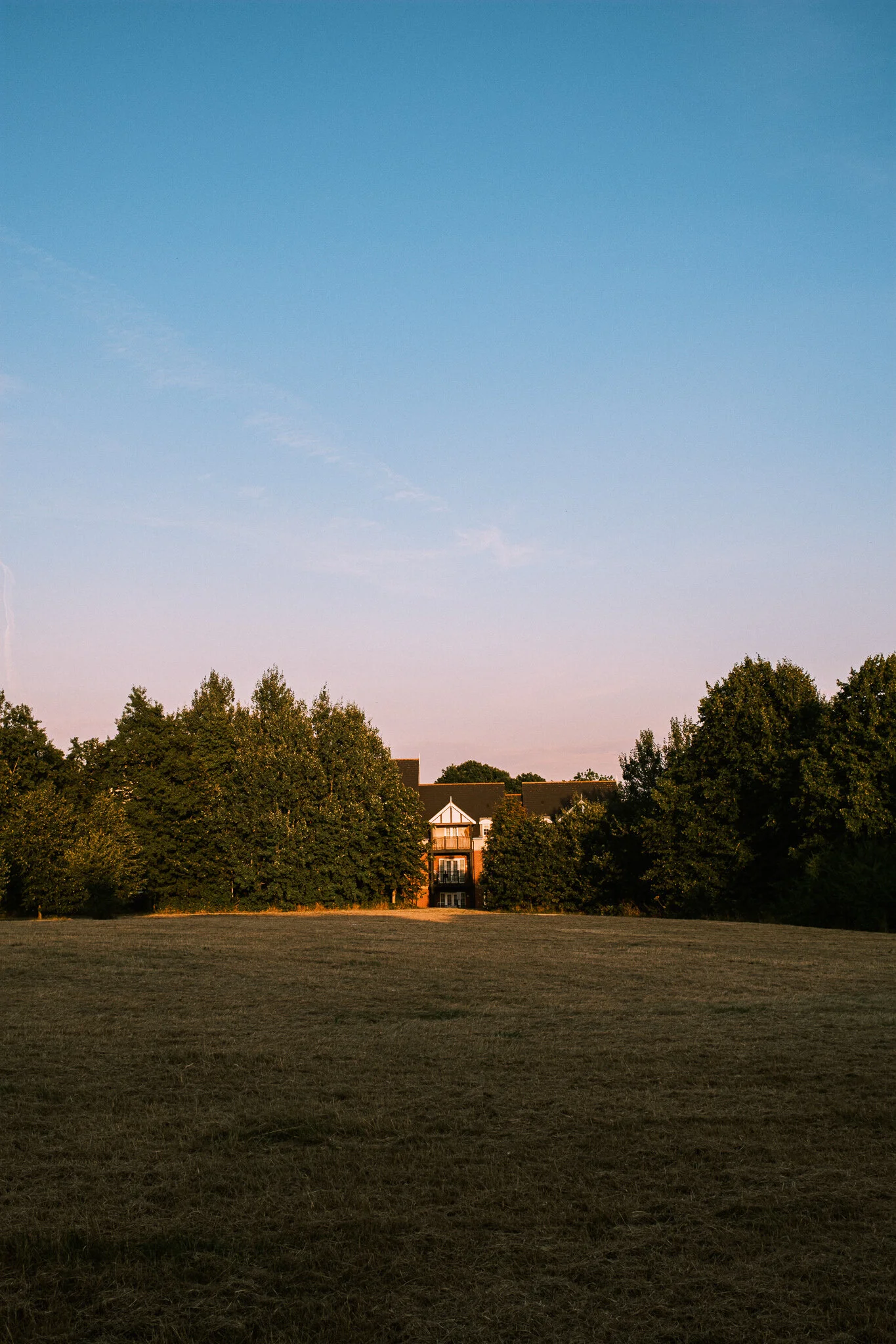 DSCF6874.jpg