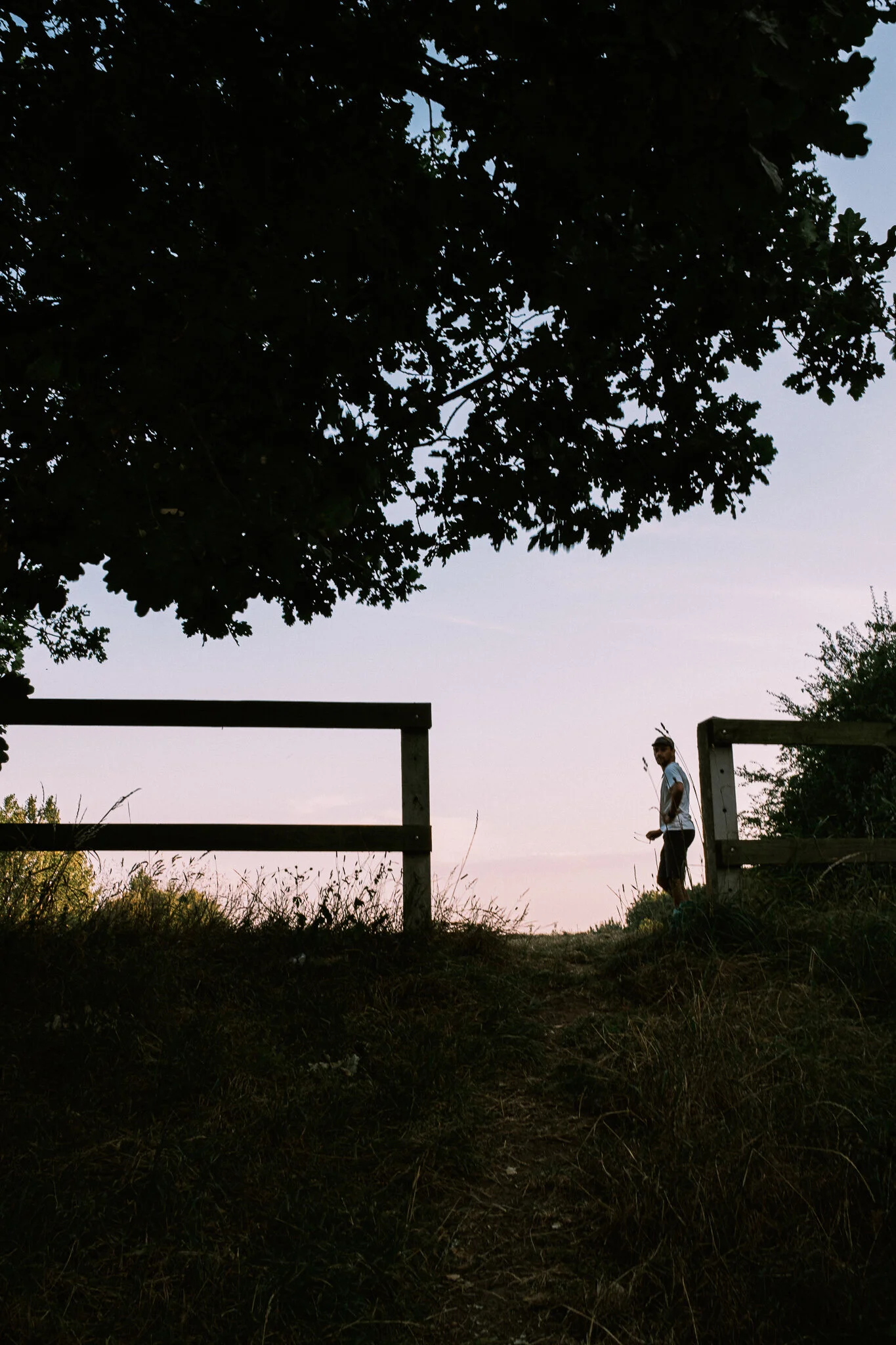 DSCF6869.jpg