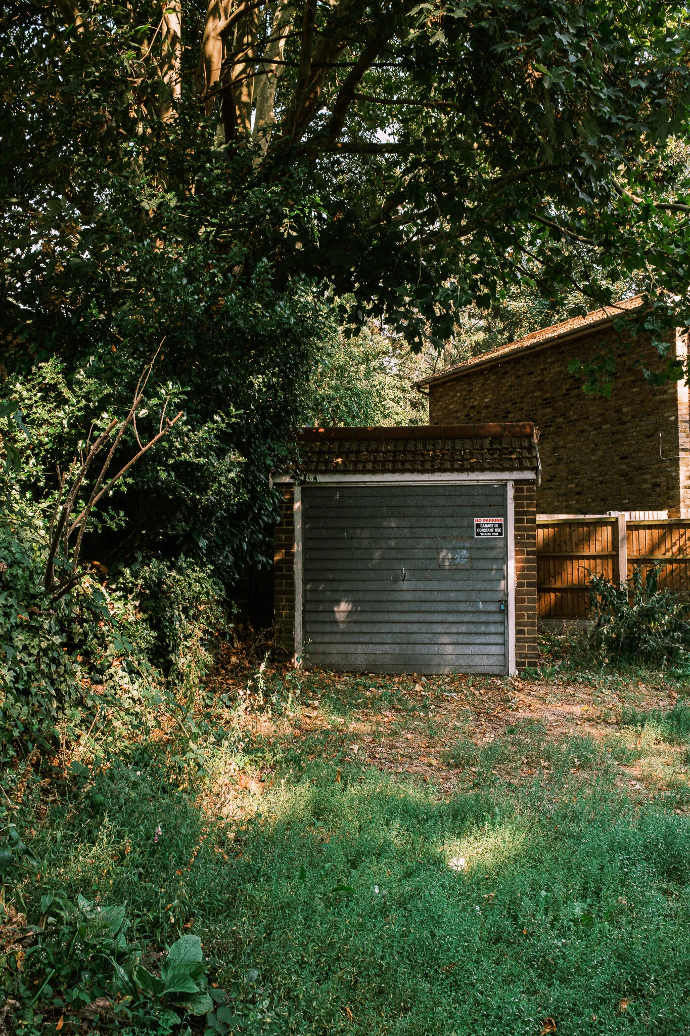 DSCF6844.jpg