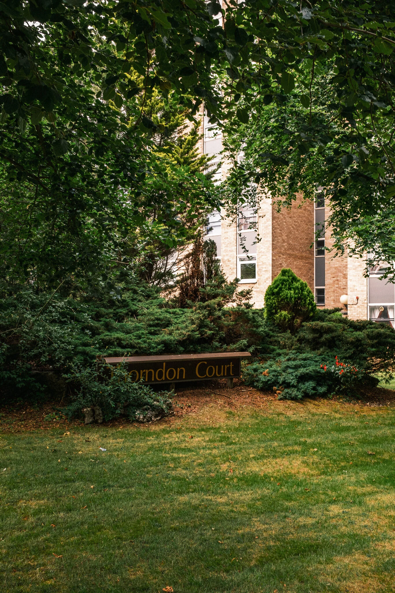 DSCF2117.jpg