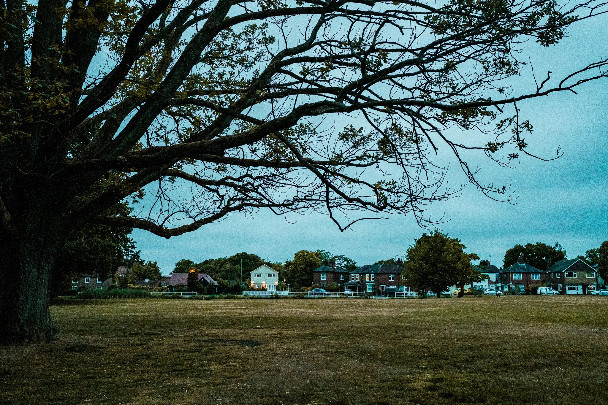 DSCF1607.jpg