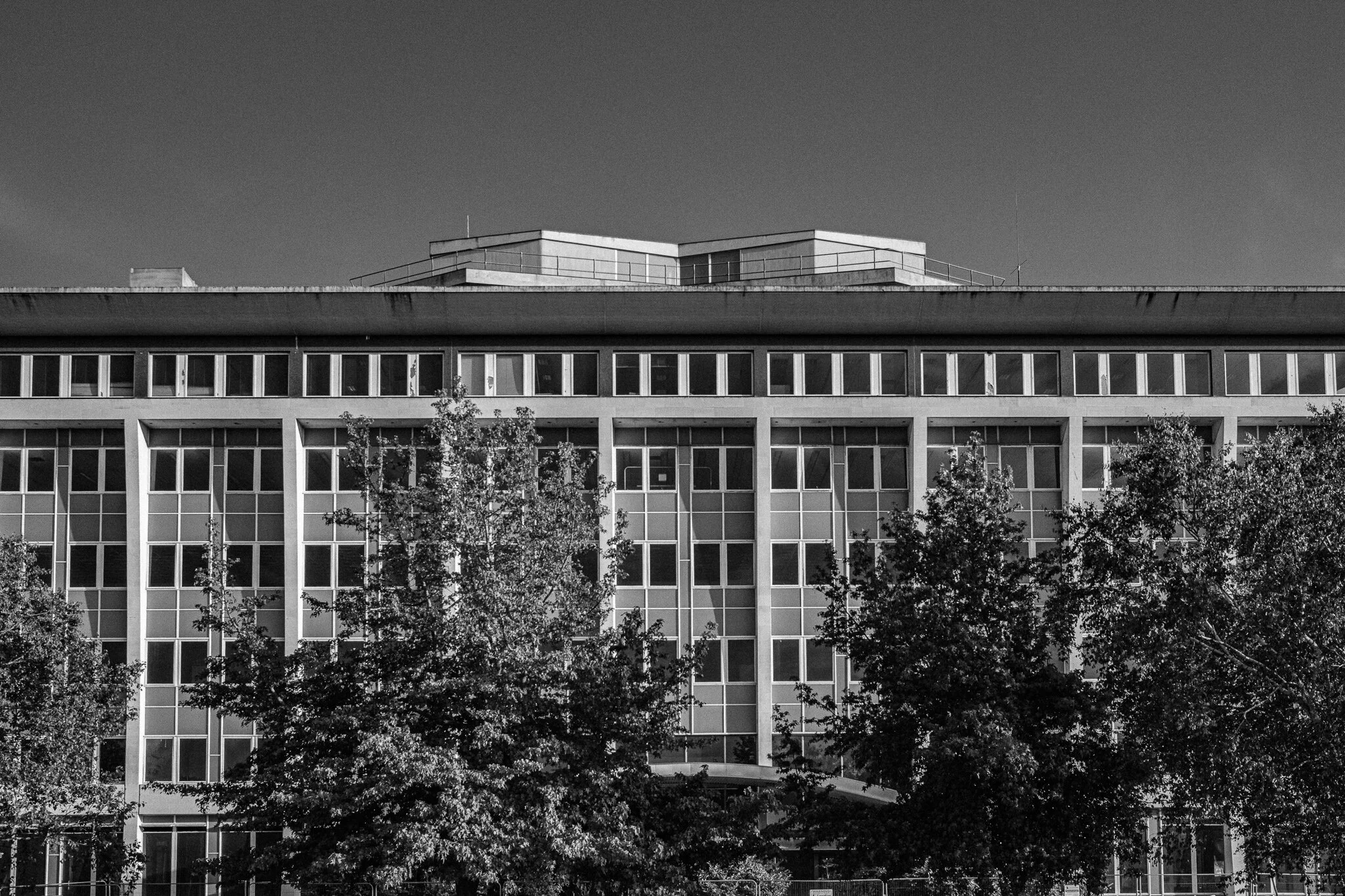 DSCF1069.jpg