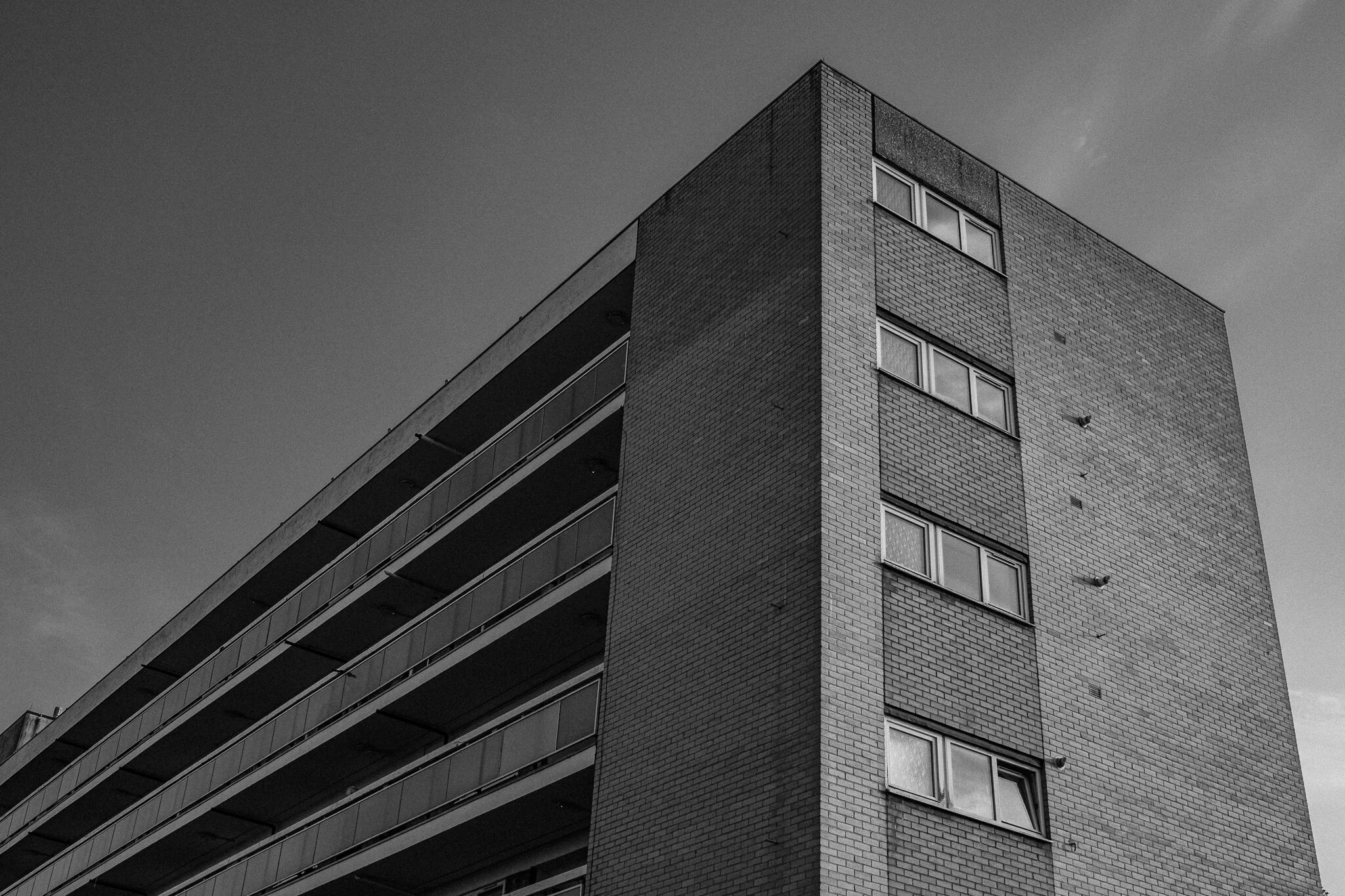 DSCF1055.jpg