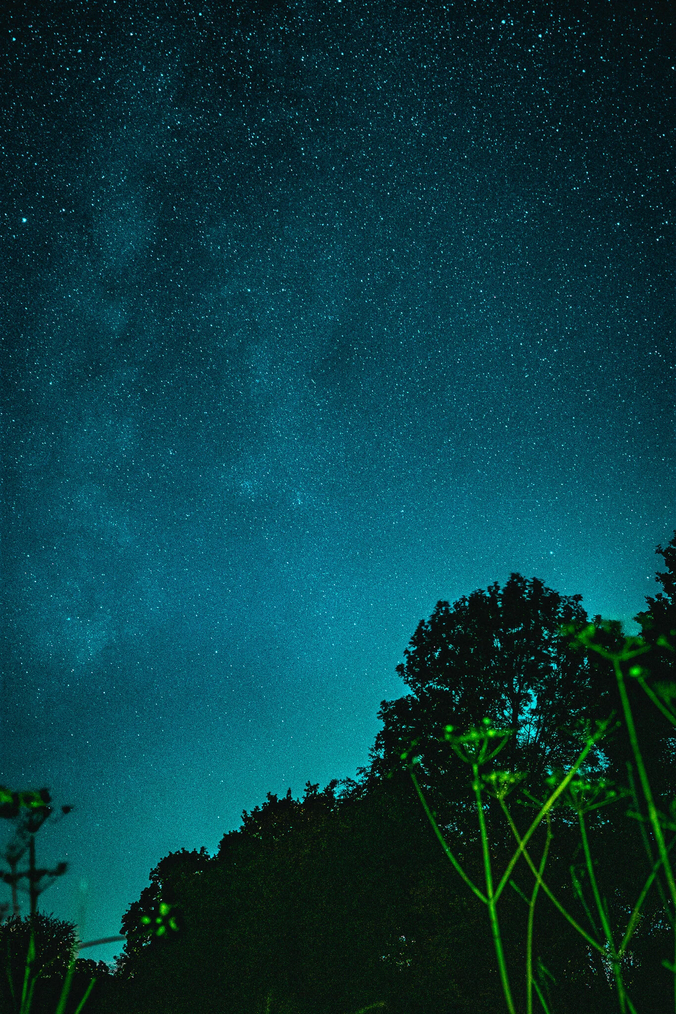 DSCF1000.jpg