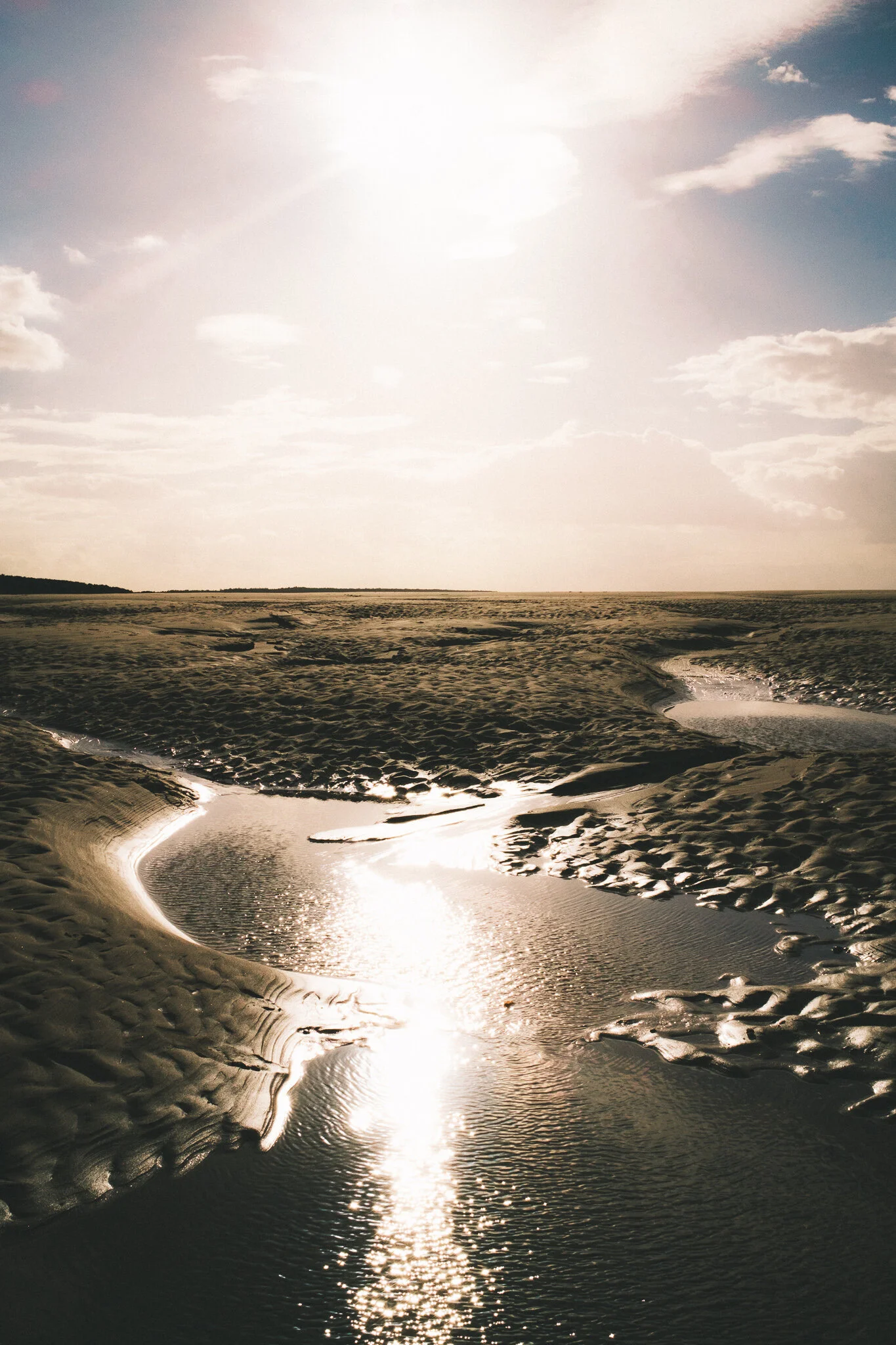 DSCF8868.jpg