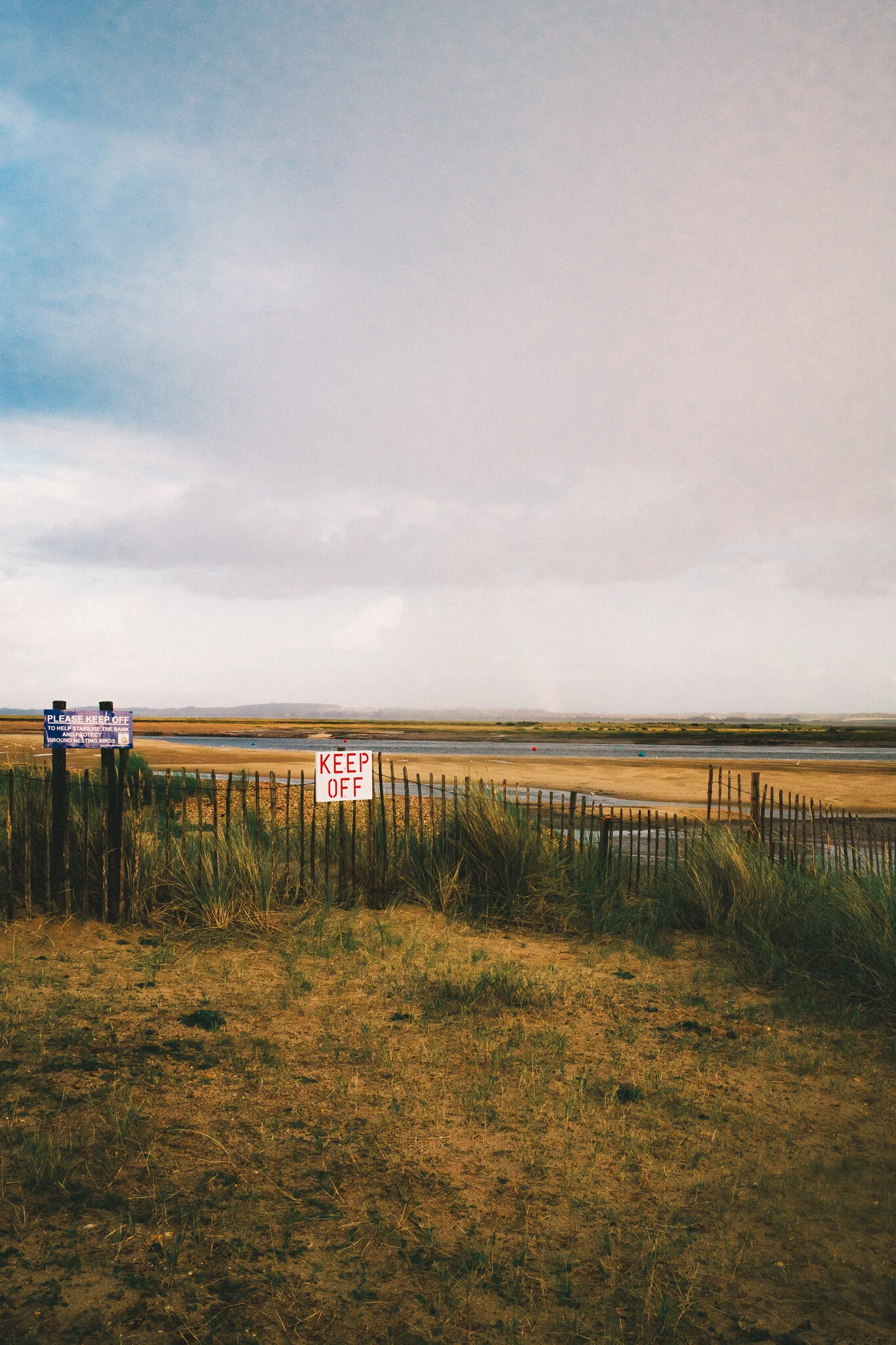 DSCF9070.jpg