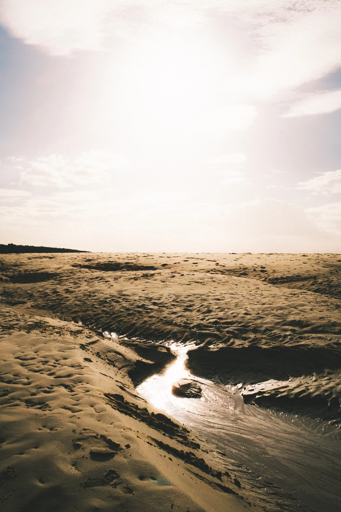 DSCF8860.jpg