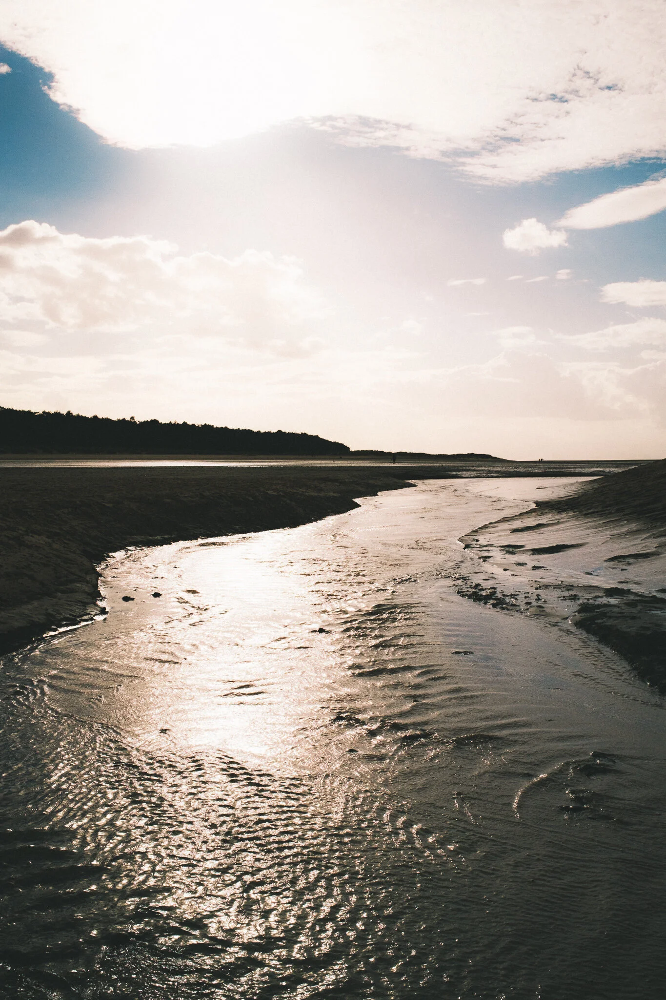 DSCF8828.jpg
