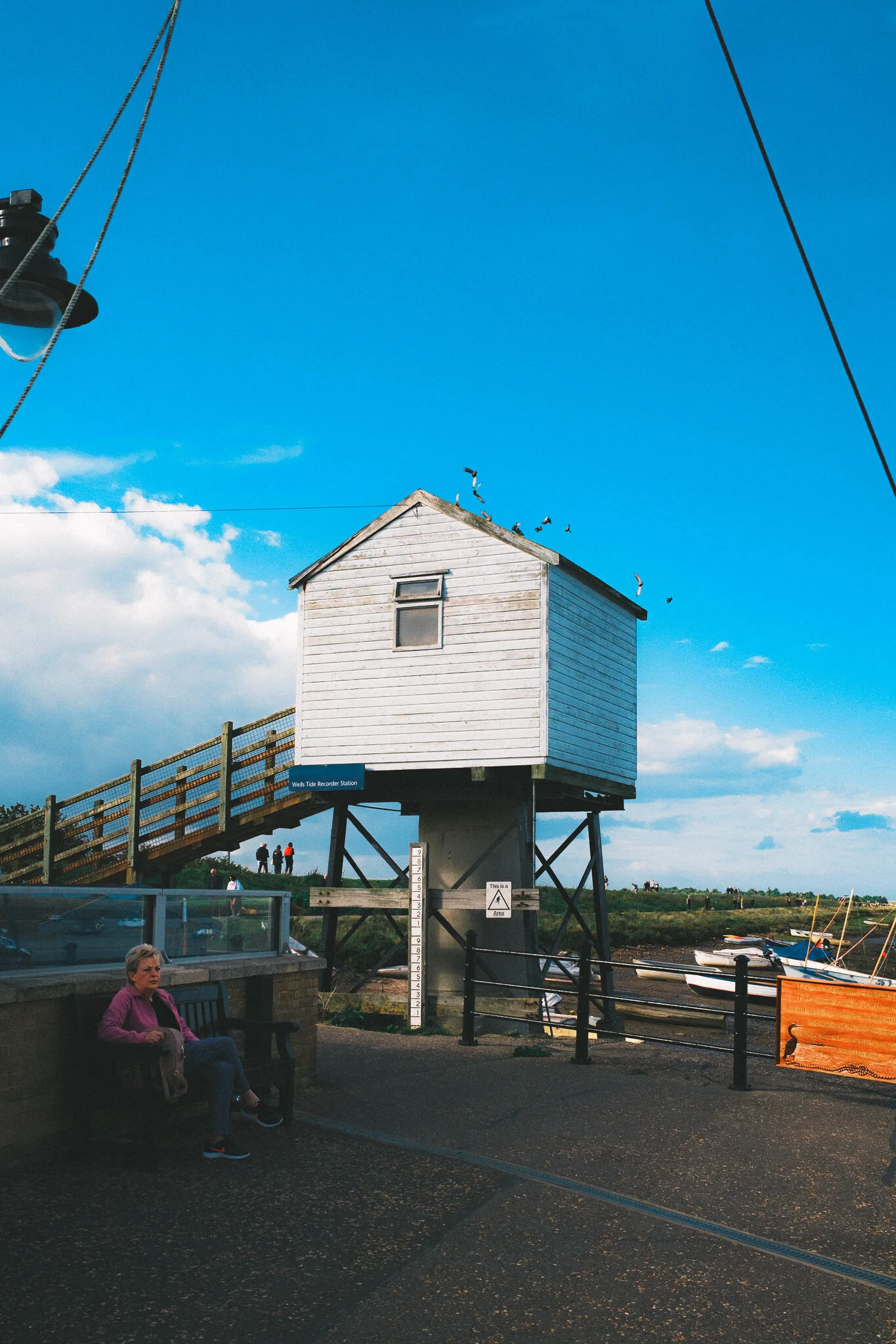 DSCF8641.jpg