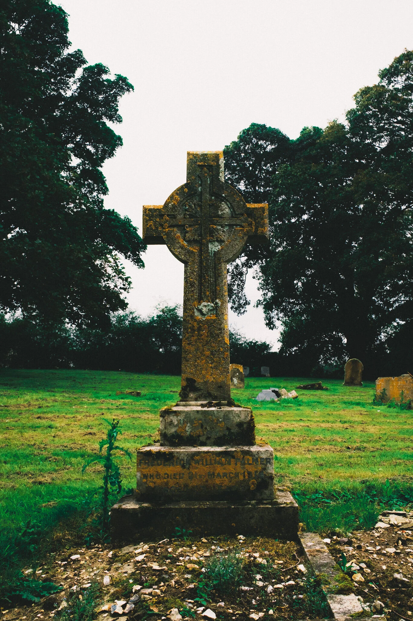 DSCF9471.jpg