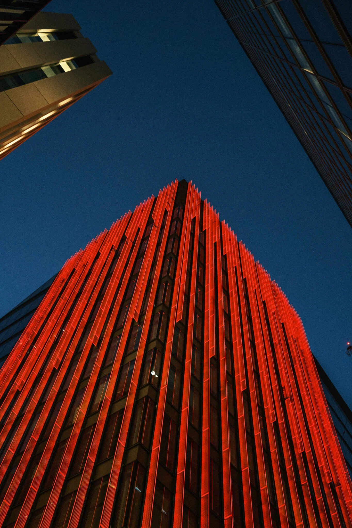 DSCF4806.jpg