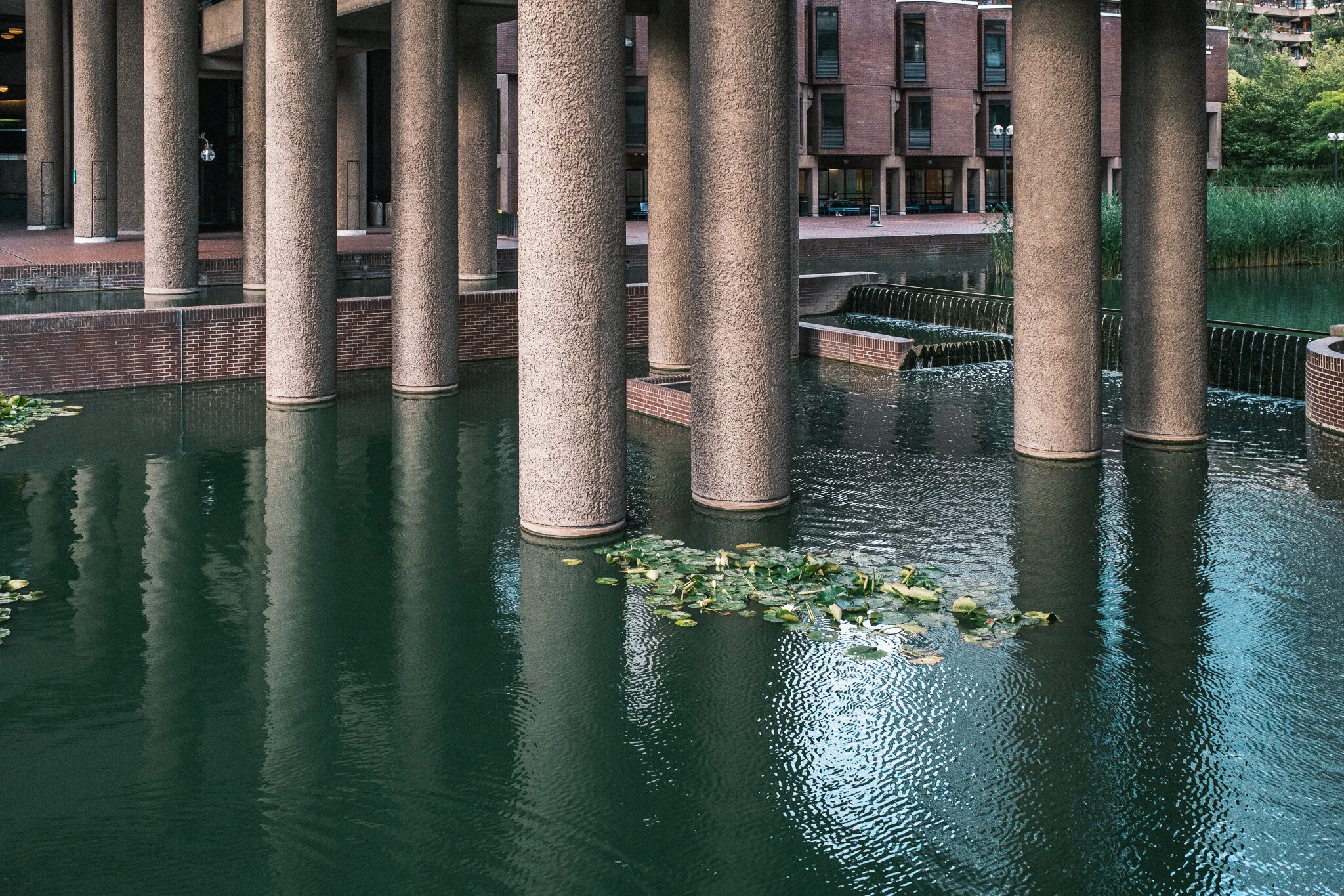 DSCF4642.jpg