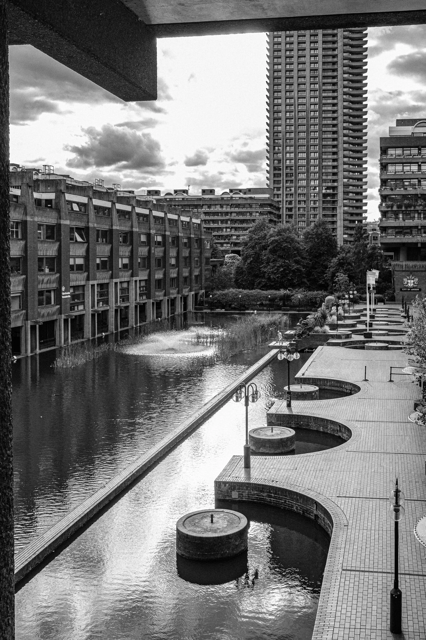 DSCF4562.jpg