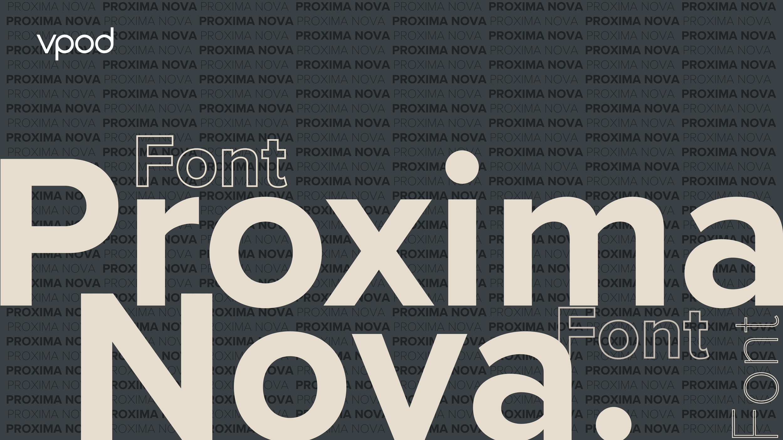 Project Seedling Design Manual_Font.png