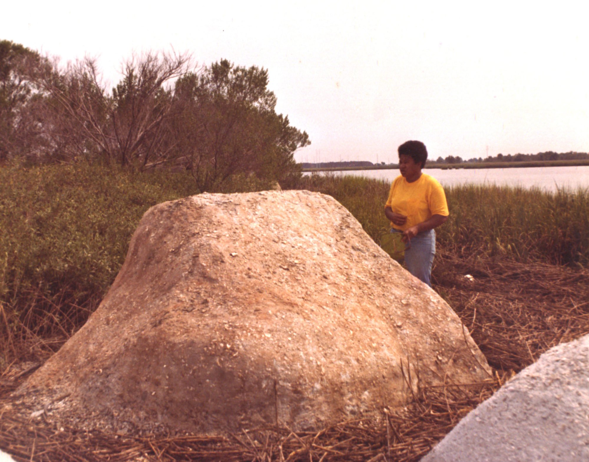 Beverly Buchanan installing and staining Marsh Ruins, concrete and tabby, 1981, marshes of Glynn, Brunswick, GA © Beverly Buchanan and MAS]