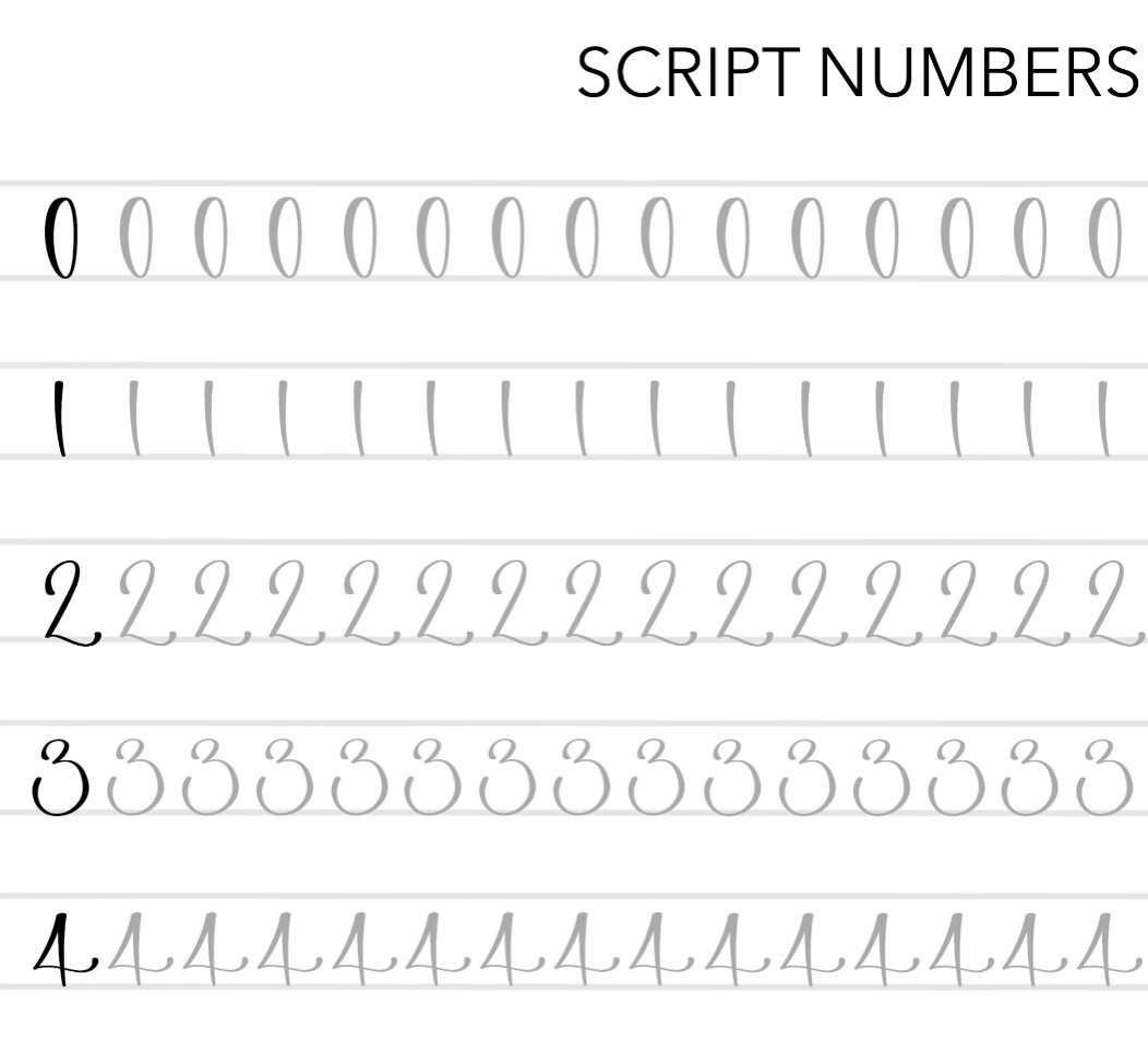 Script Numbers Guide
