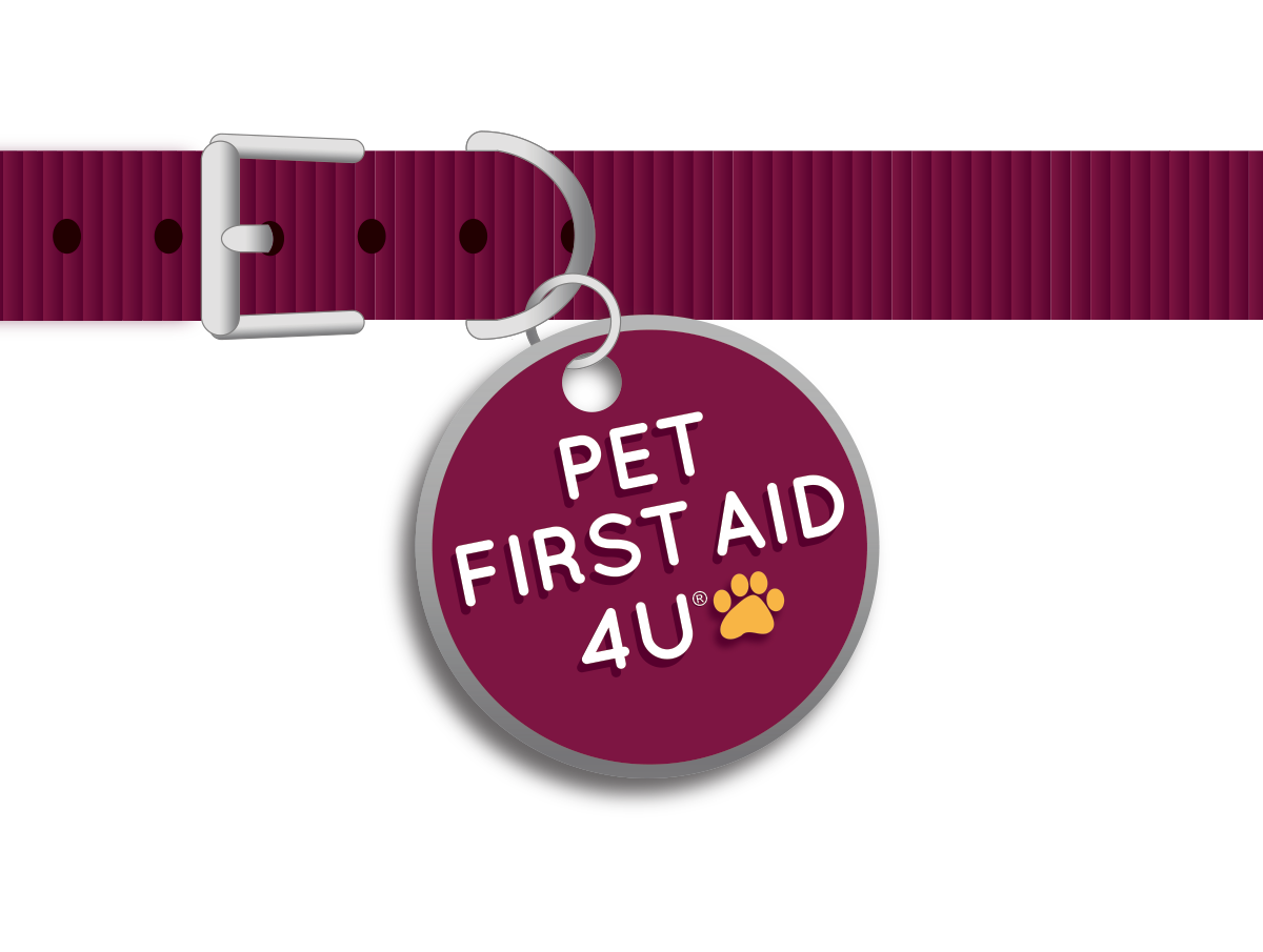 Pet First Aid 4U