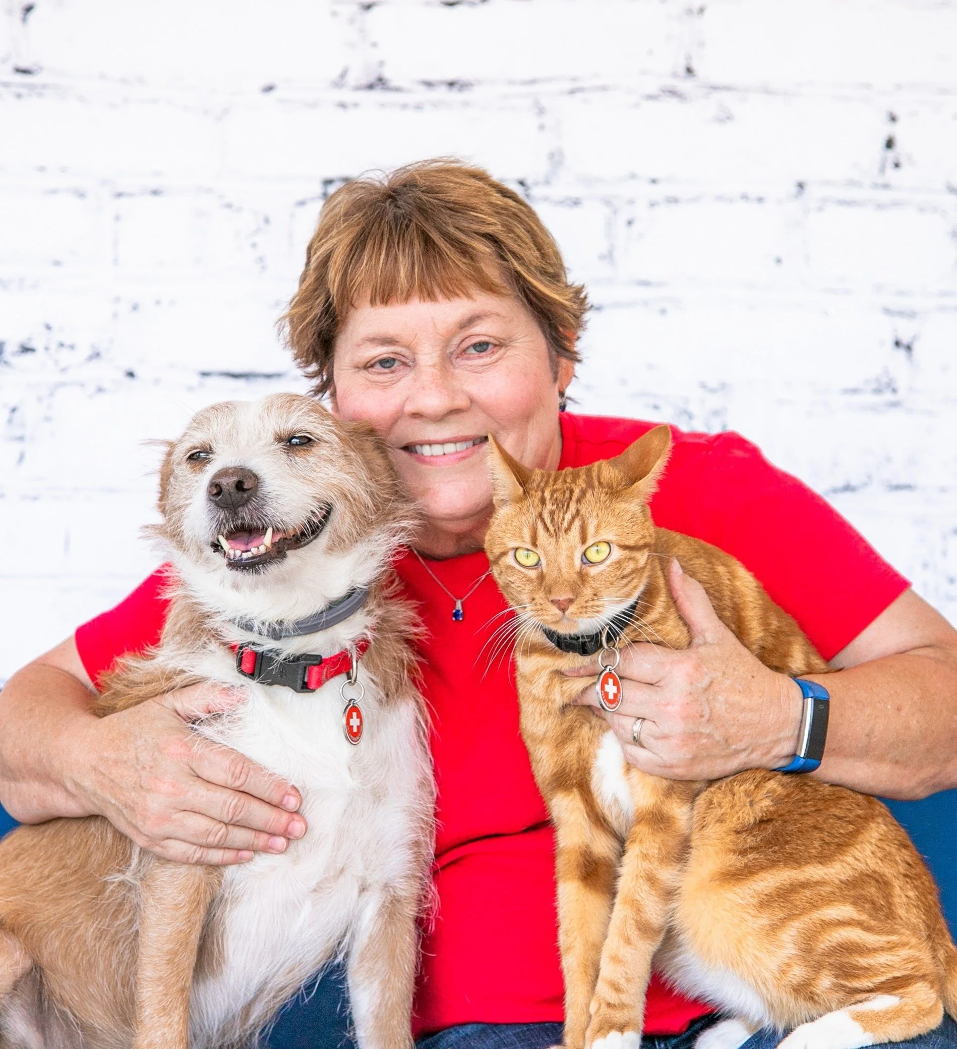 Benefits of Taking a Pet First Aid 4U Class Any Time & Any Where