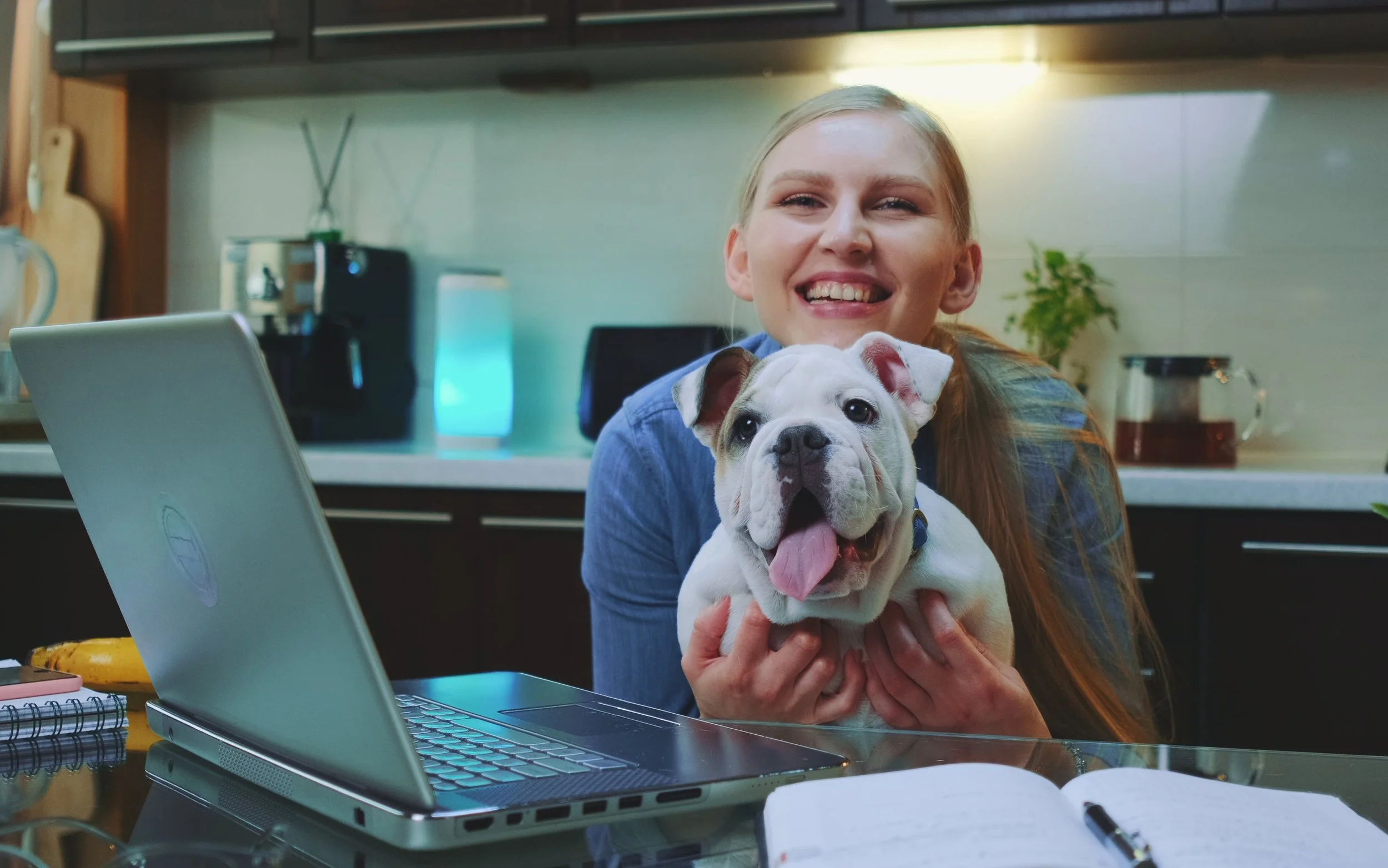 Learn Pet First Aid/CPR in Real Time, From Anywhere on the Globe