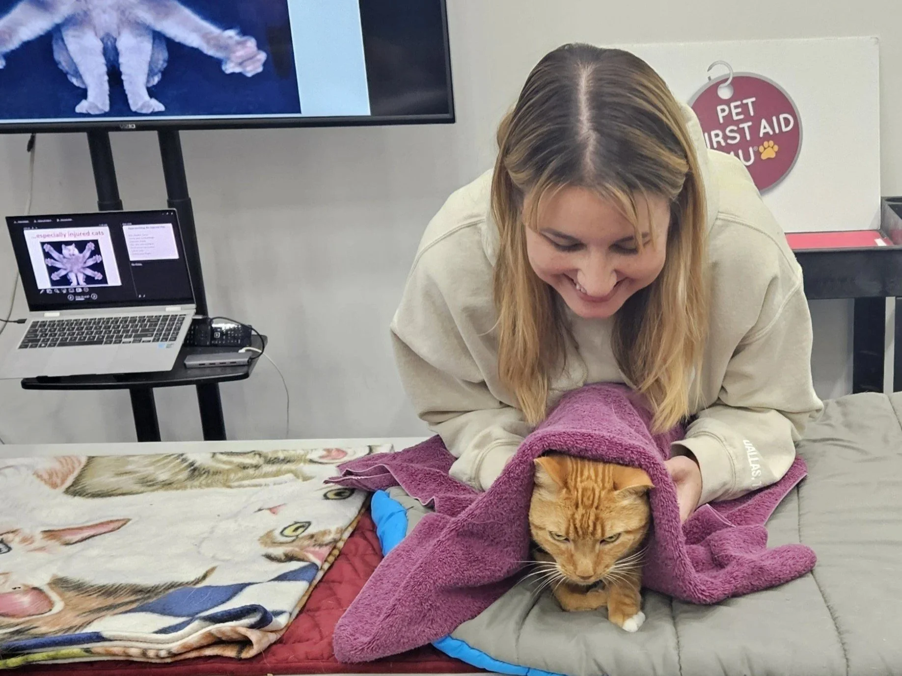 Meet Casey – The World’s Busiest Pet Safety Cat!