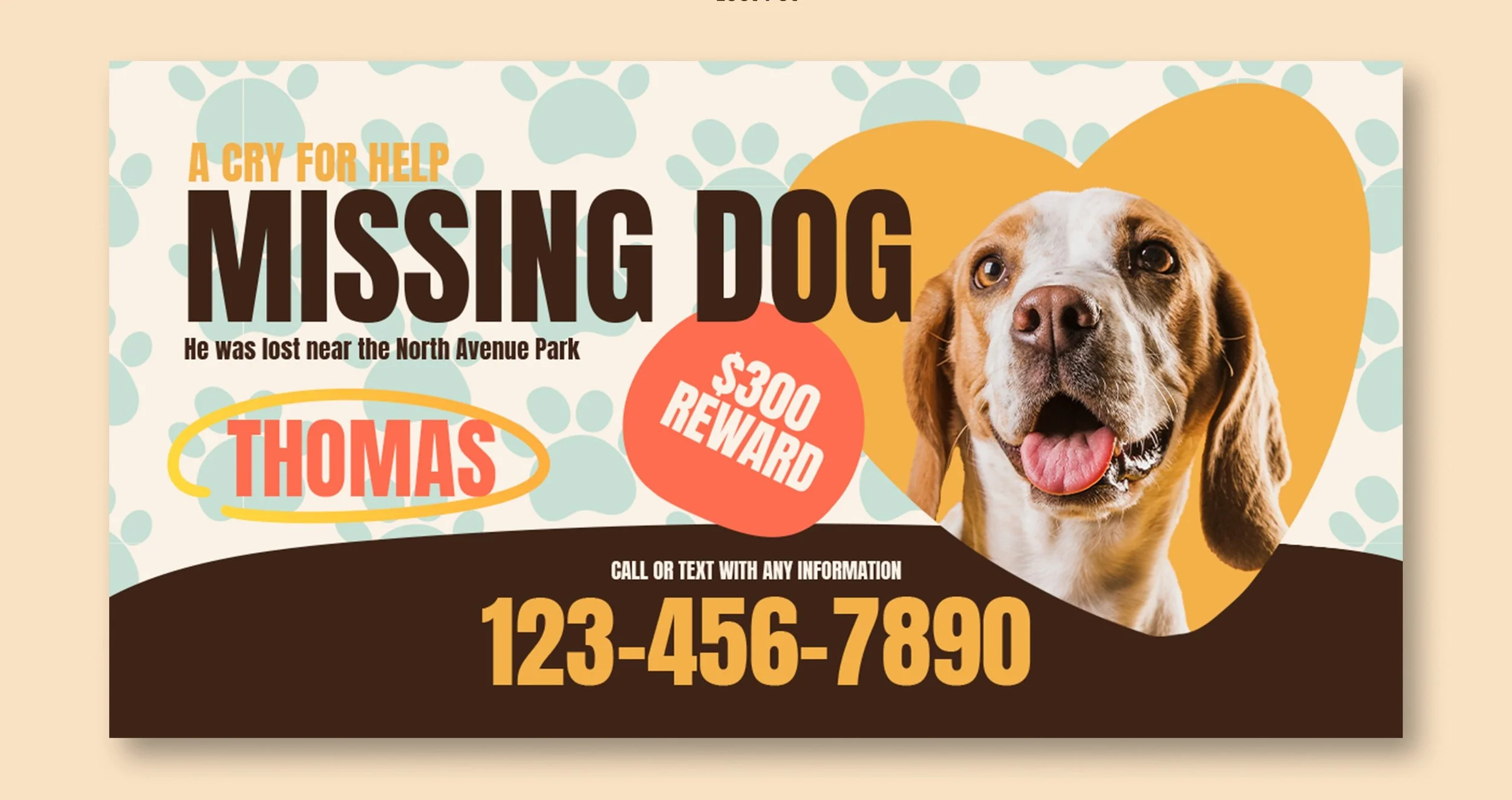 You Found a Dog – Now What?