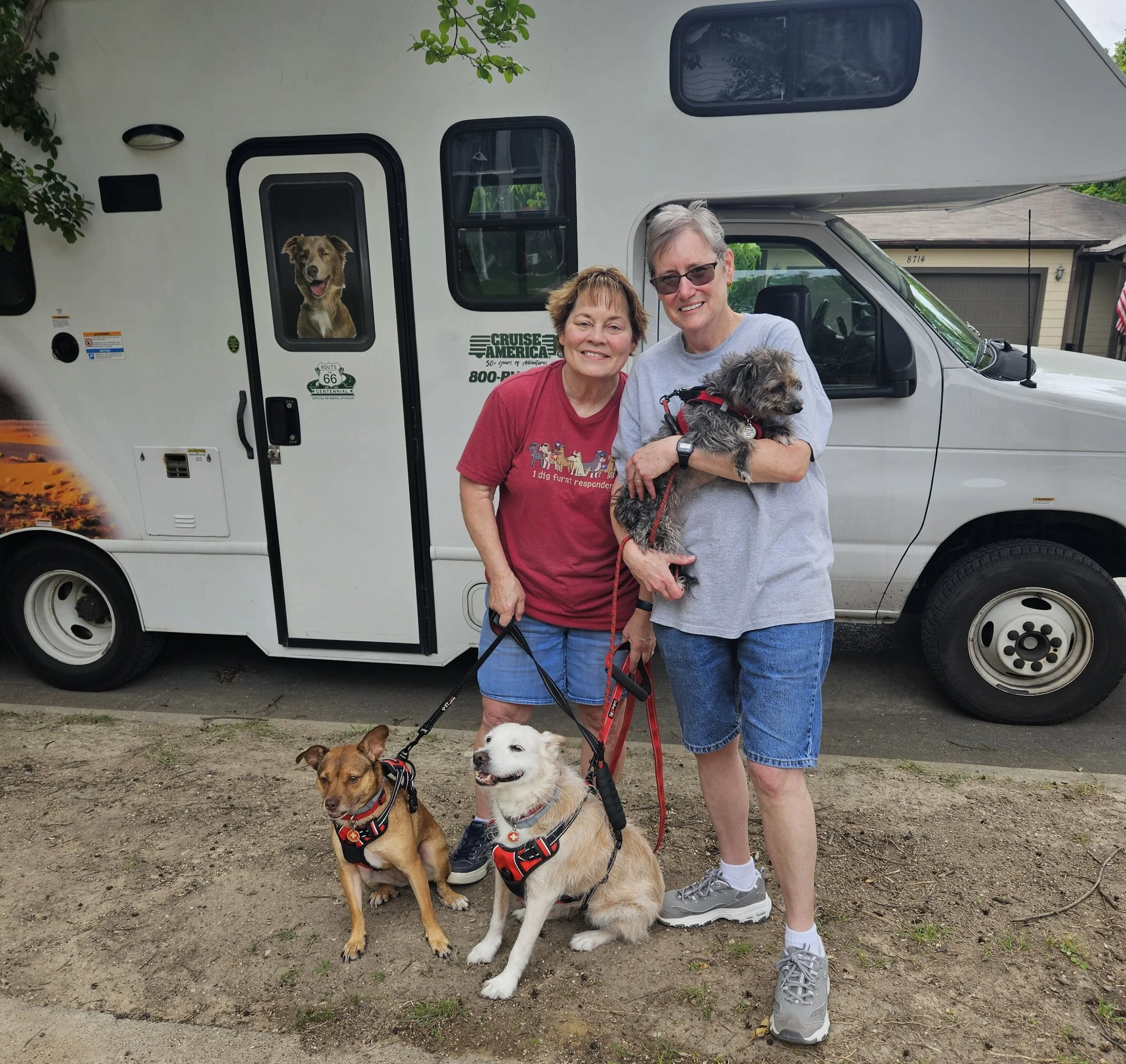 RV Trip Safety Checklist for Your Dog