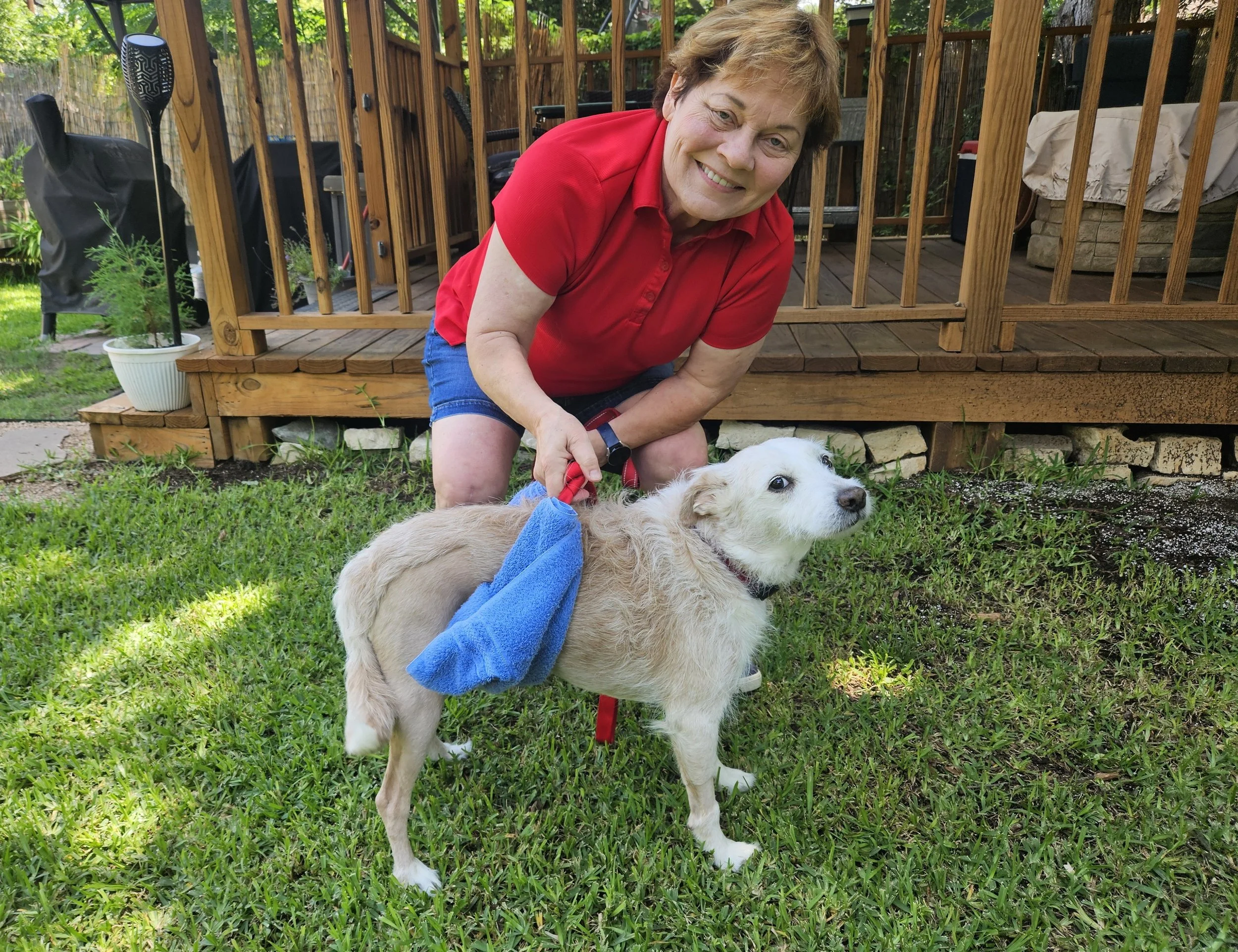 Your Dog Tore Her Cruciate Ligament – Now What?