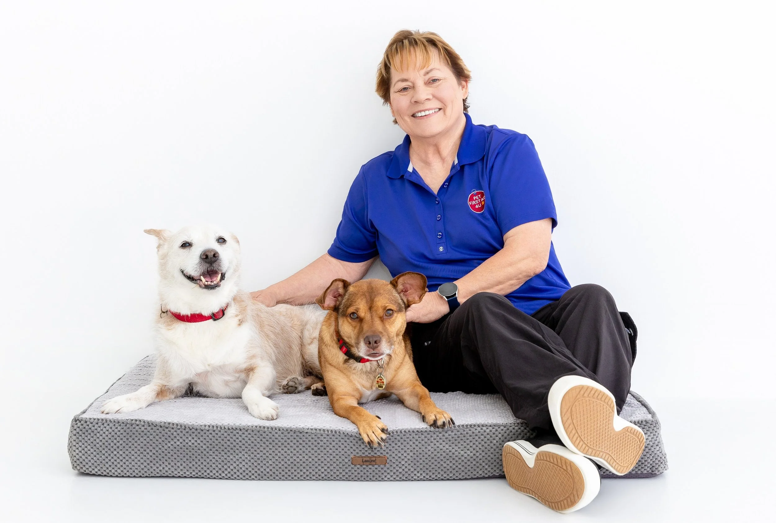 Meet the Busiest Pet First Aid Four-Leggers