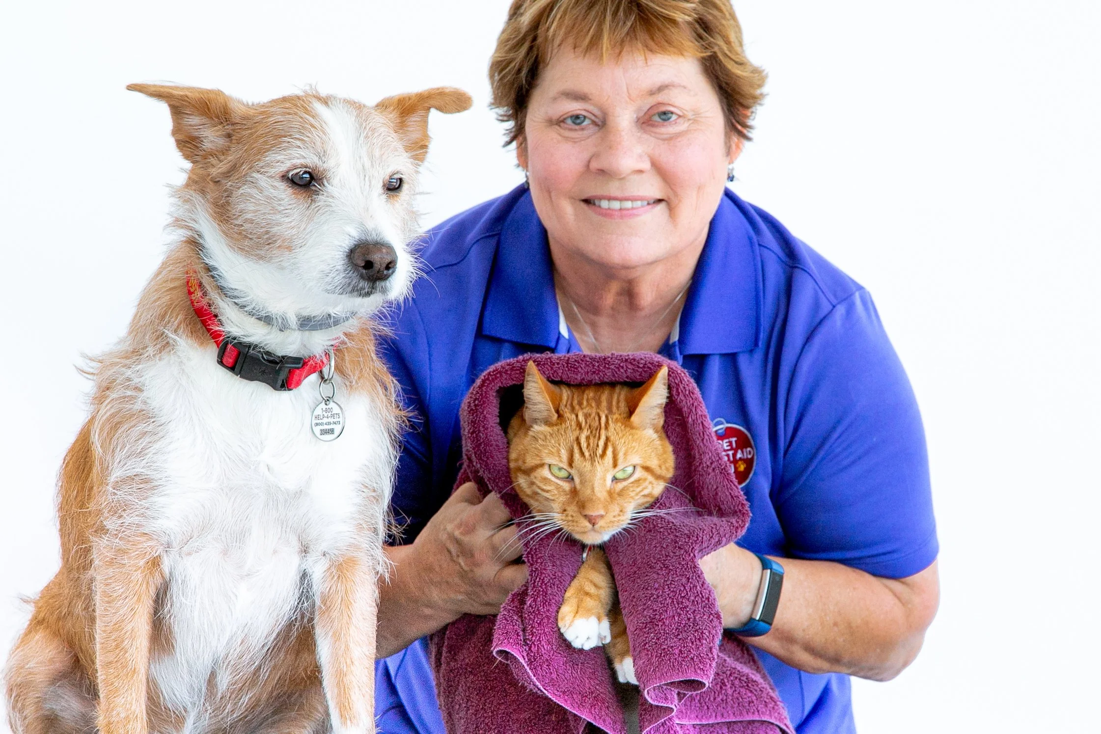 Arden Moore holds her orange tabby Casey in a burgundy towel with terrier dog Kona on her right