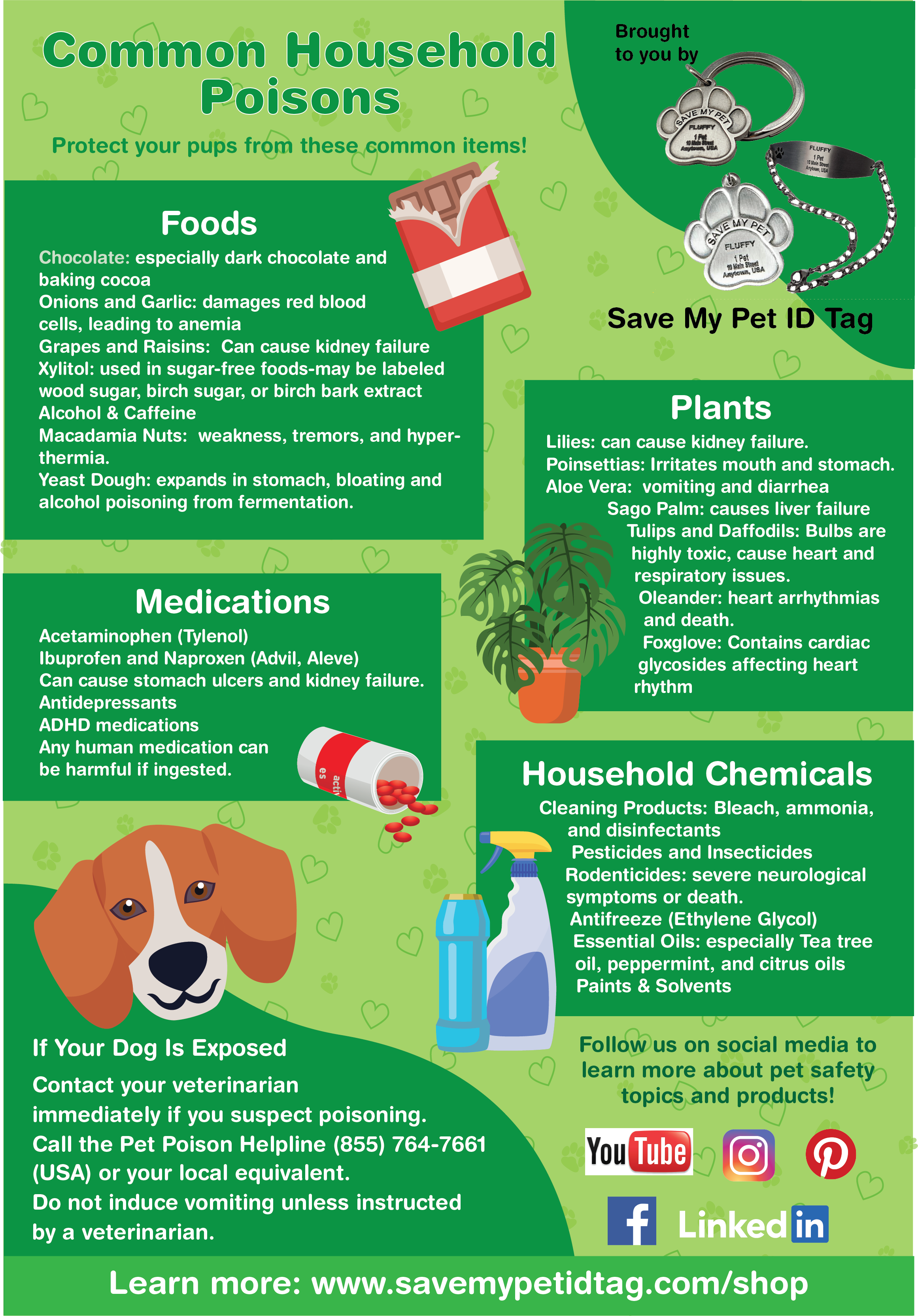 common household poisons for pets
