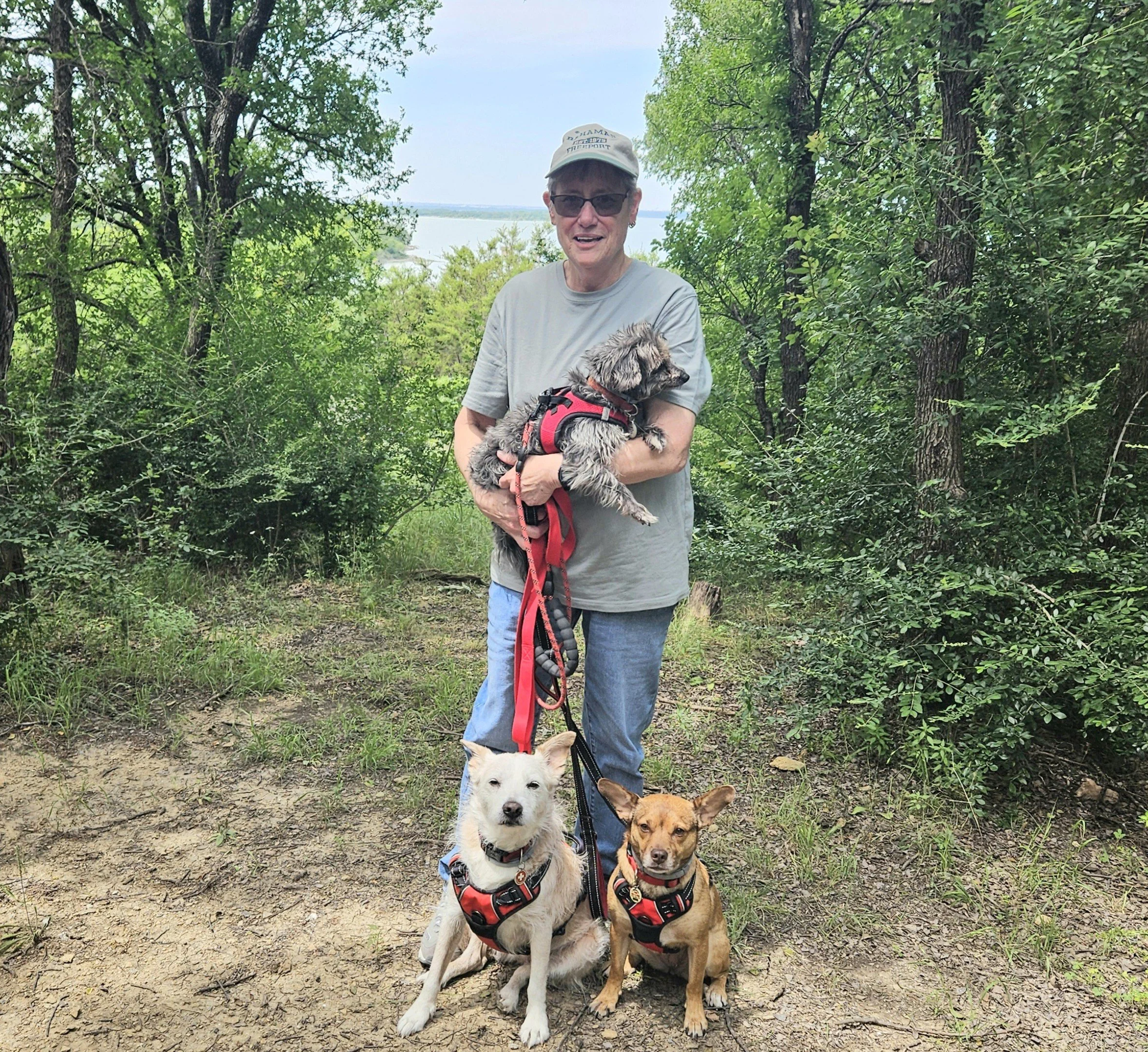 Arden's wife Julie with their 3 dogs at Cedar Hill State Park