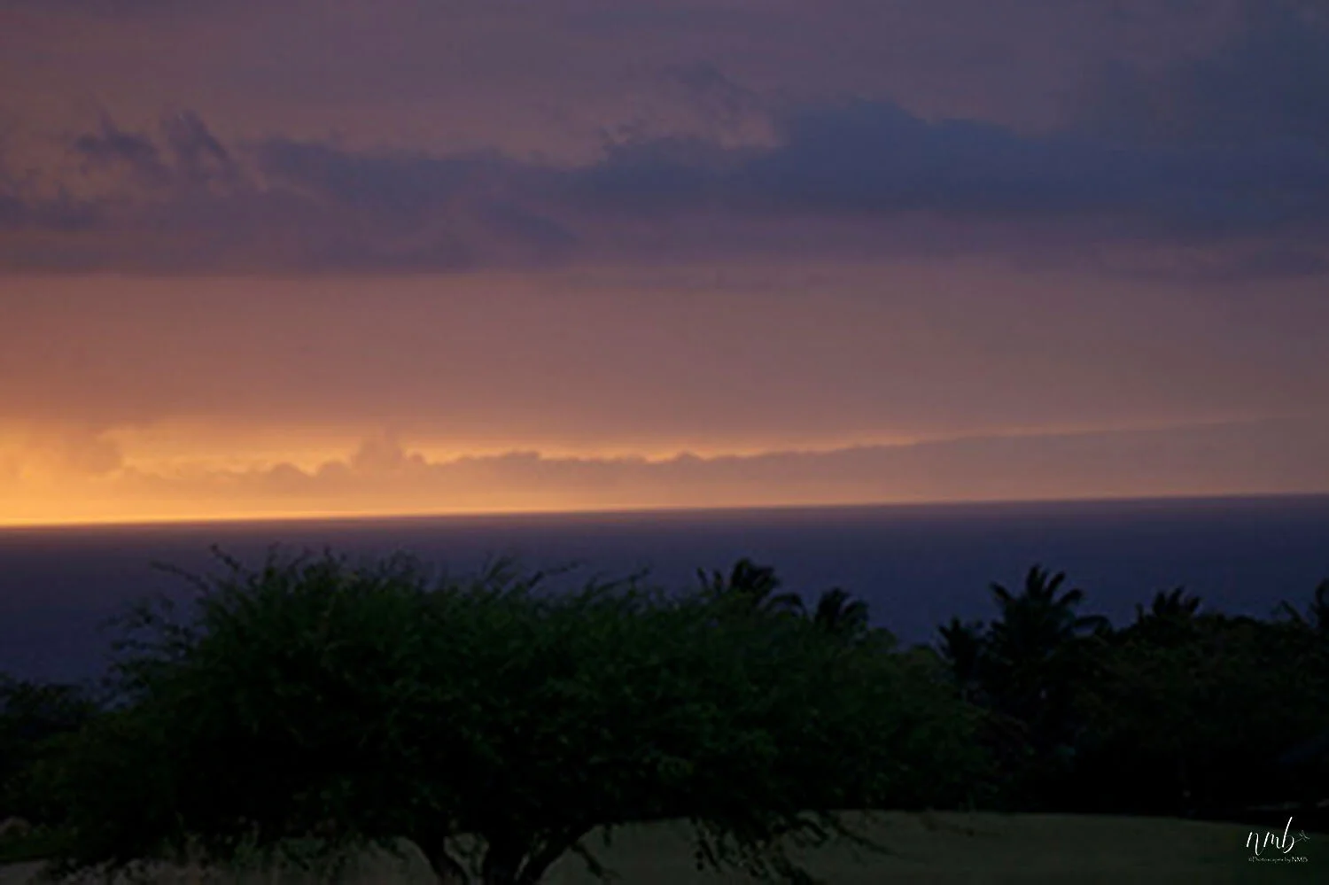 02web_beach and sunsets.jpg