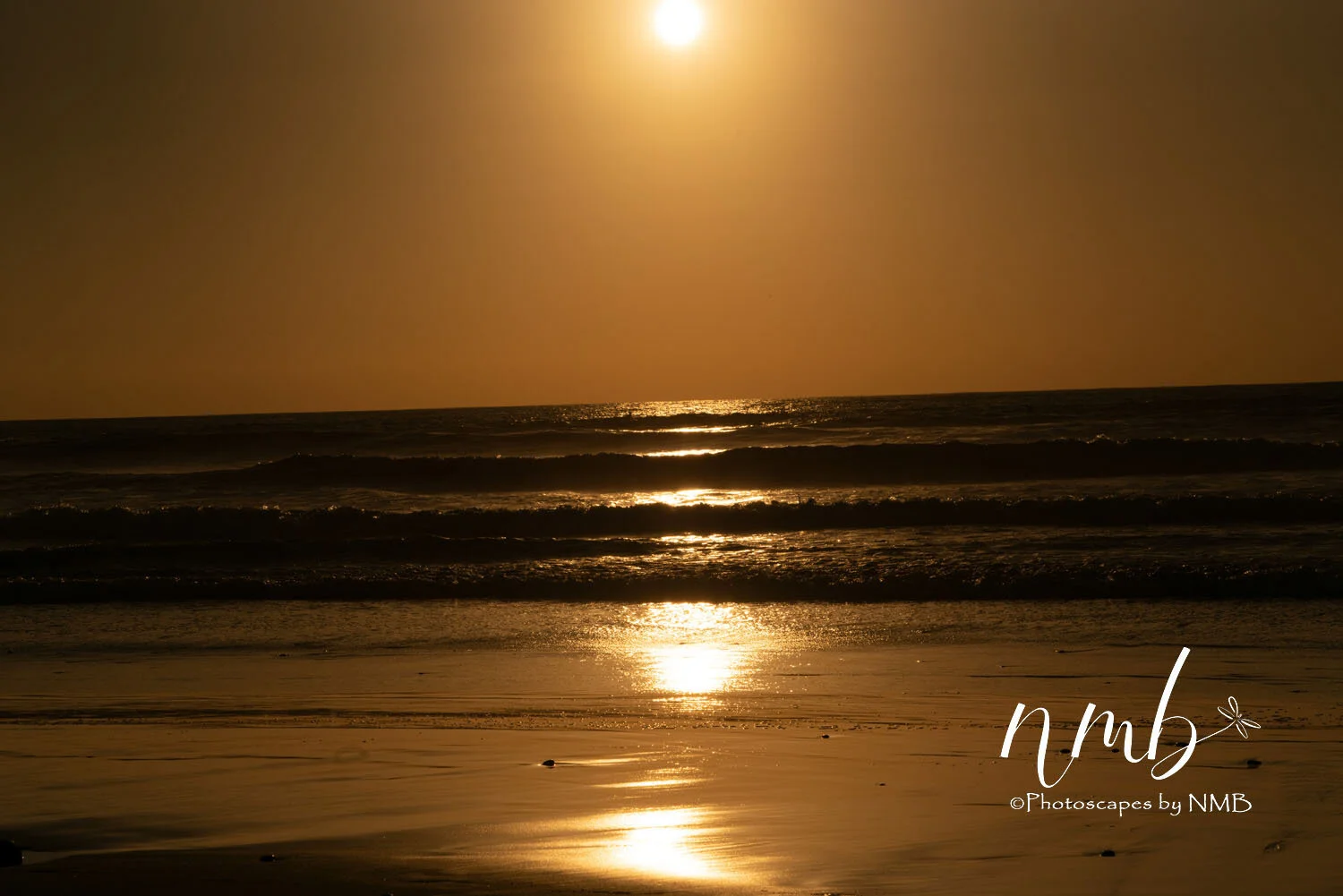 06web_beach and sunsets.jpg