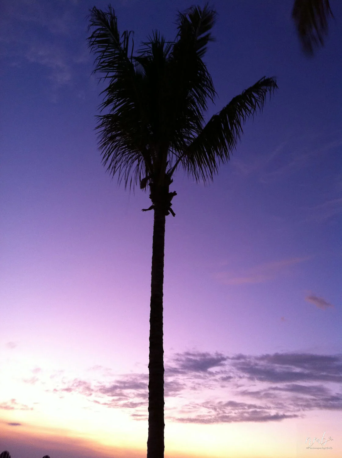 05web_beach and sunsets.jpg
