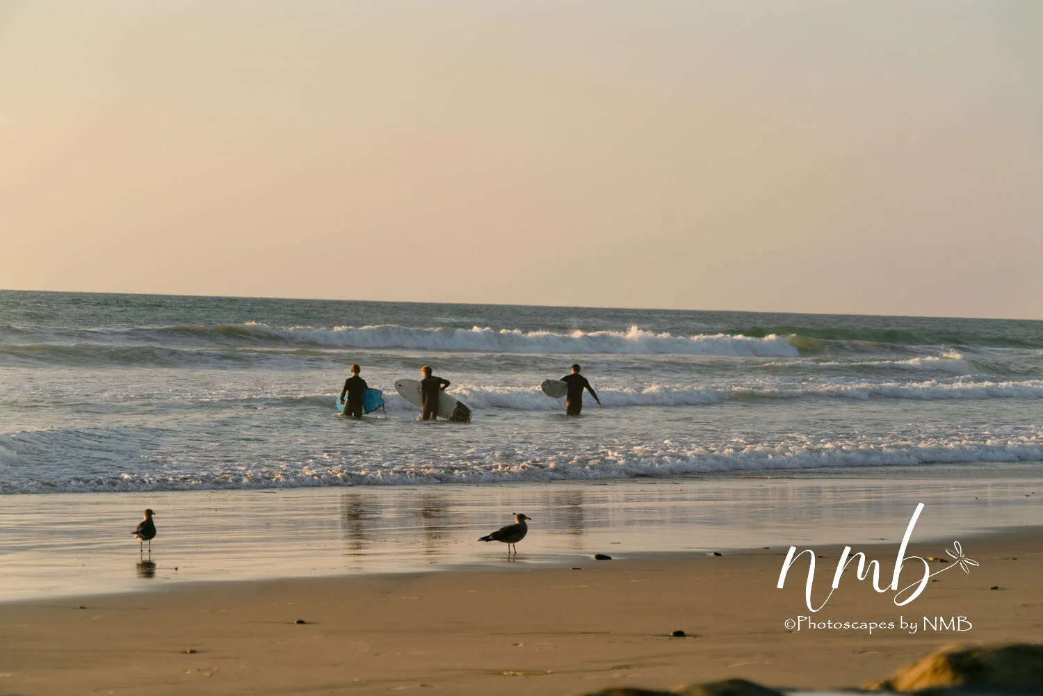 07web_beach and sunsets.jpg