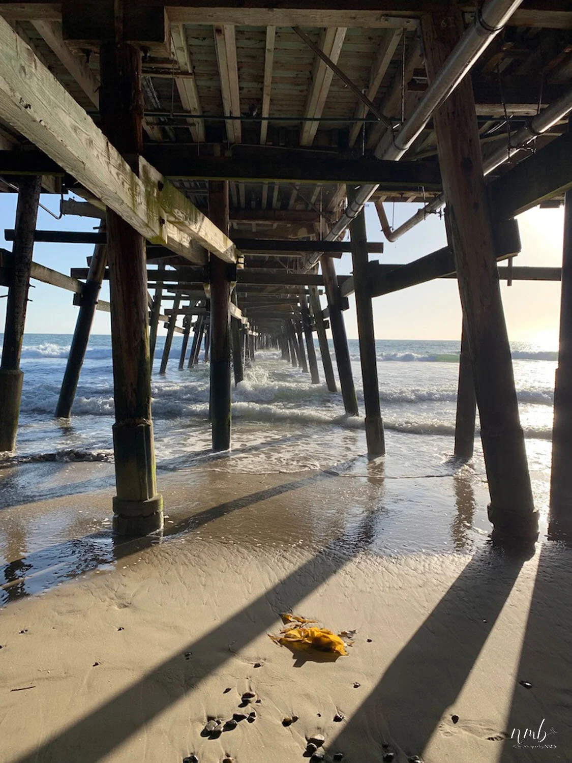 20web_beach and sunsets.jpg