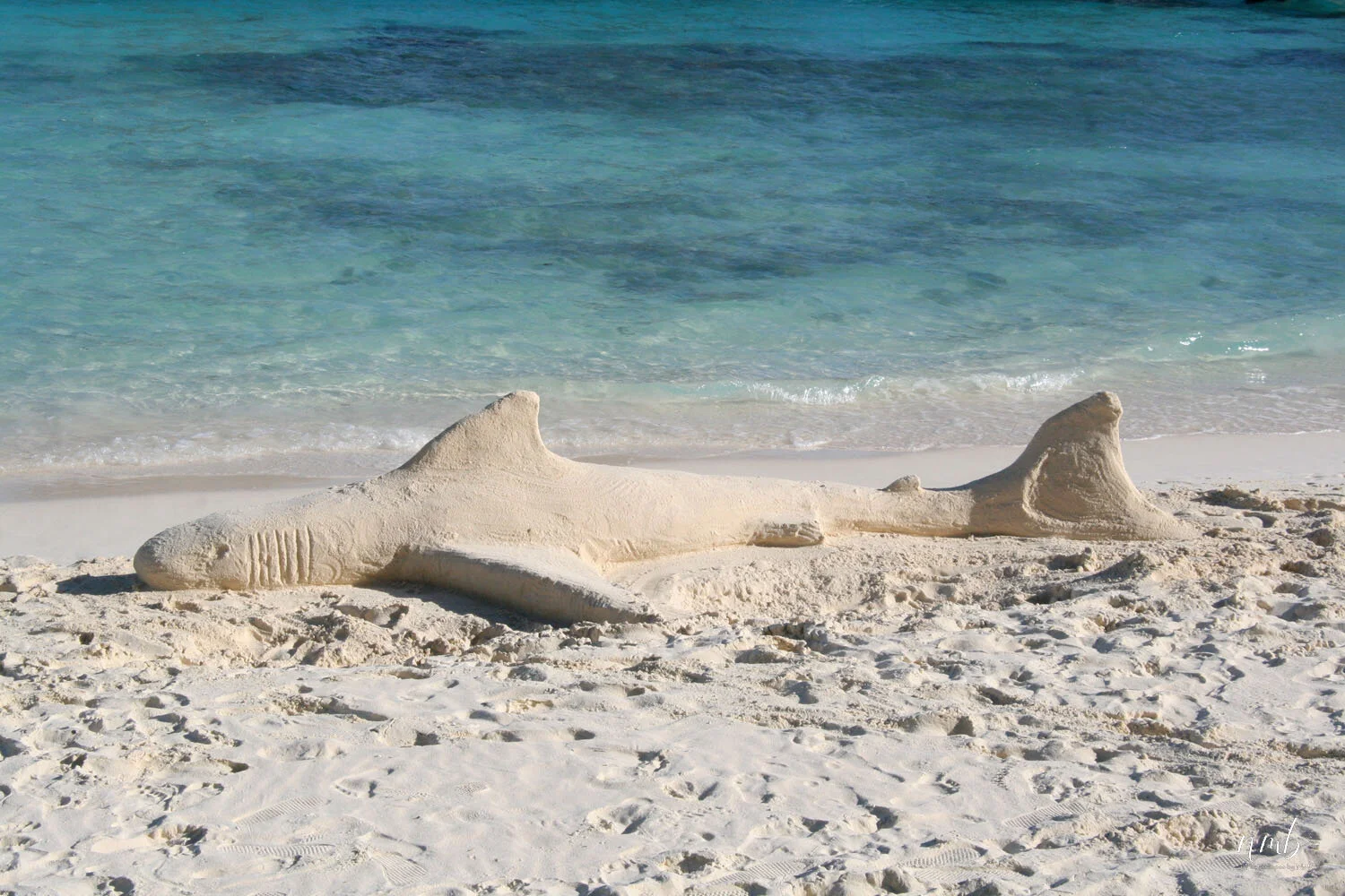 09web_bora bora.jpg