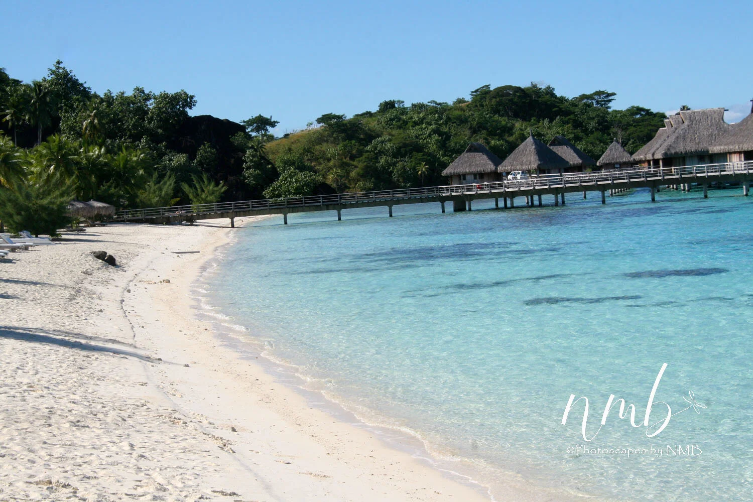 10web_bora bora.jpg