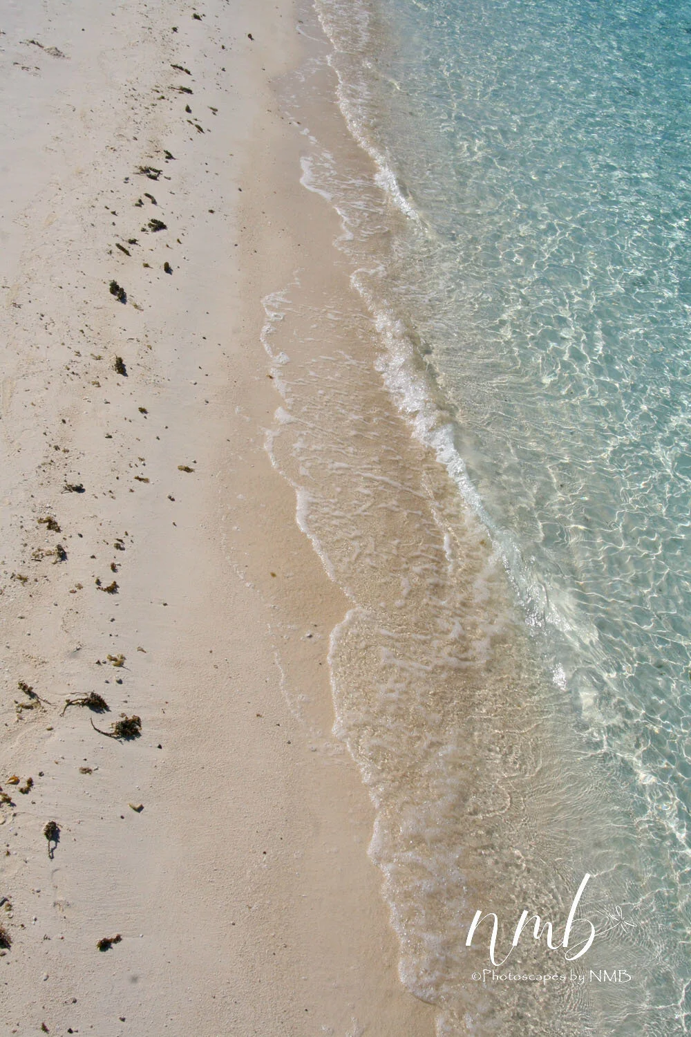 14web_bora bora.jpg