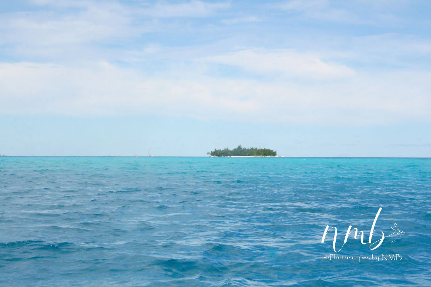 29web_bora bora.jpg