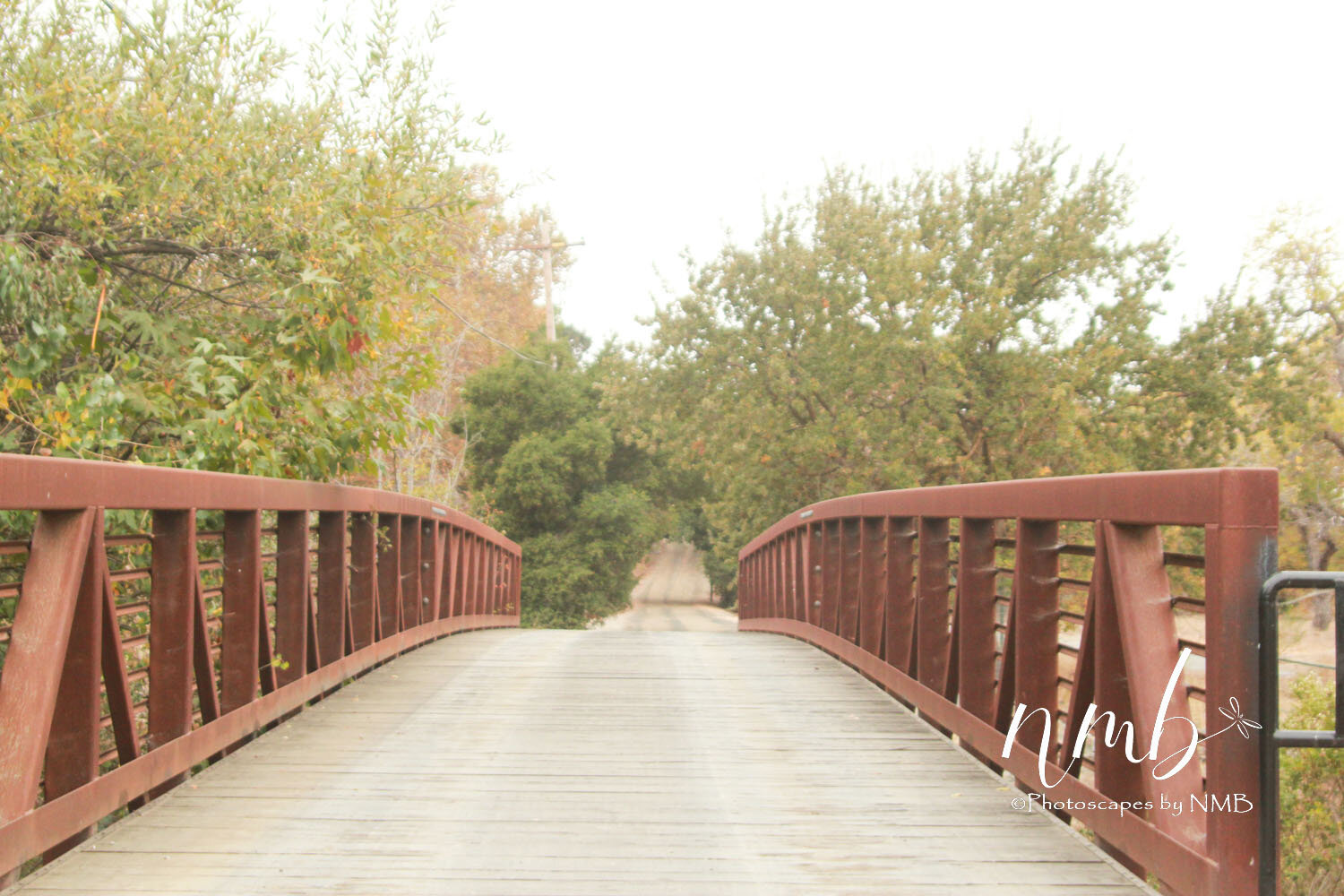 01web_bridges.jpg